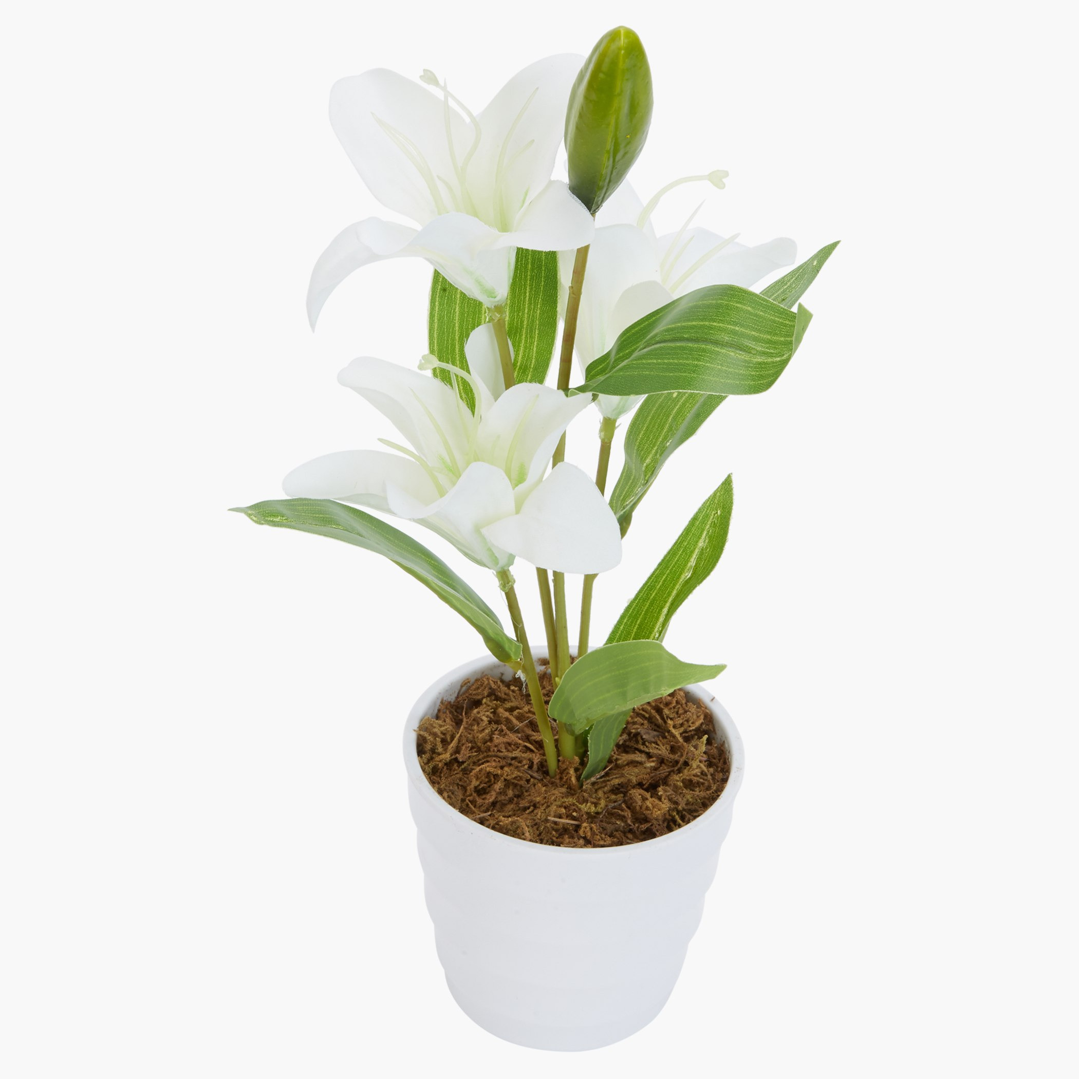 إناء ليلي كاريسا-hbxdecorandfurnishings-homeaccessories-artificialflowersandplants-image-2