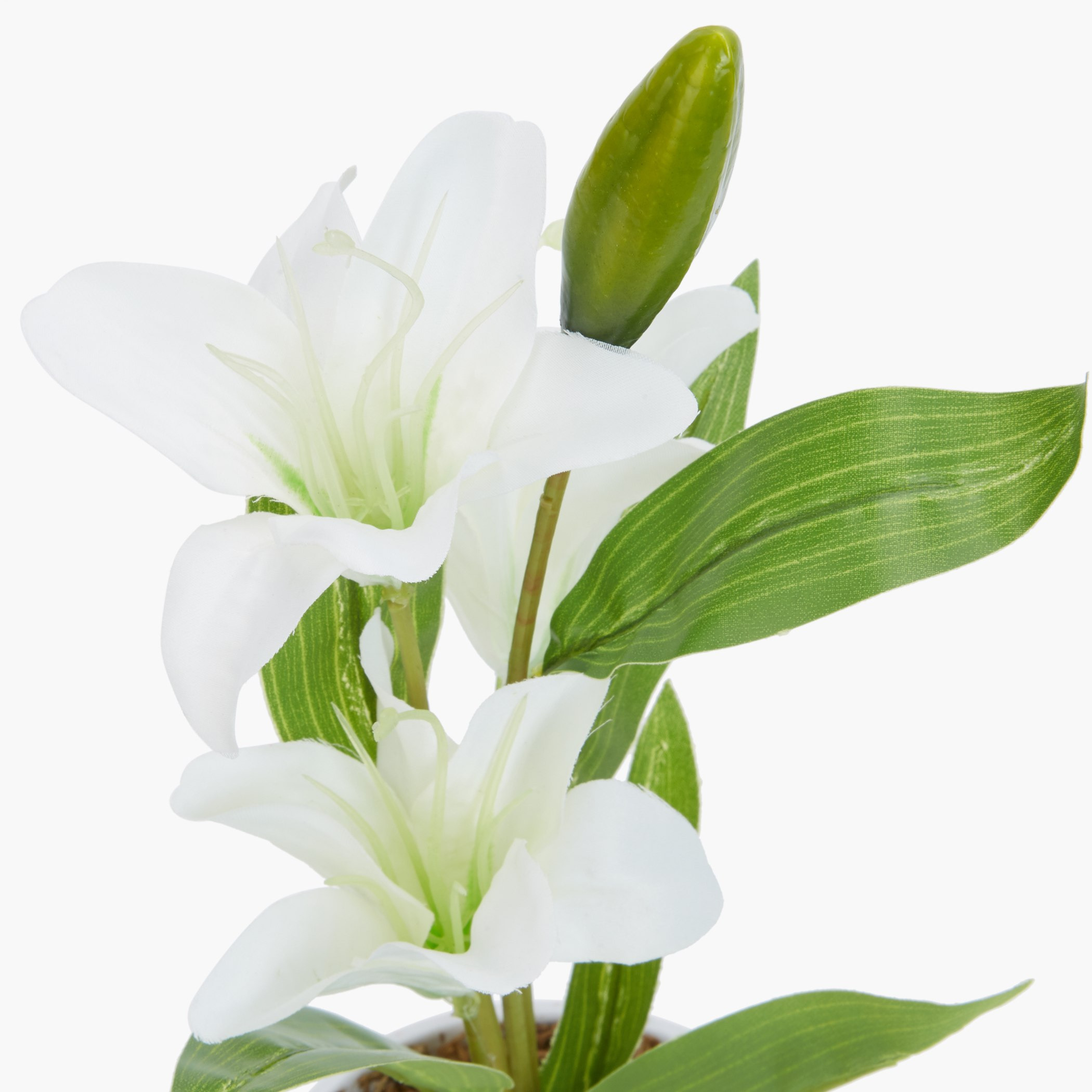 إناء ليلي كاريسا-hbxdecorandfurnishings-homeaccessories-artificialflowersandplants-image-3