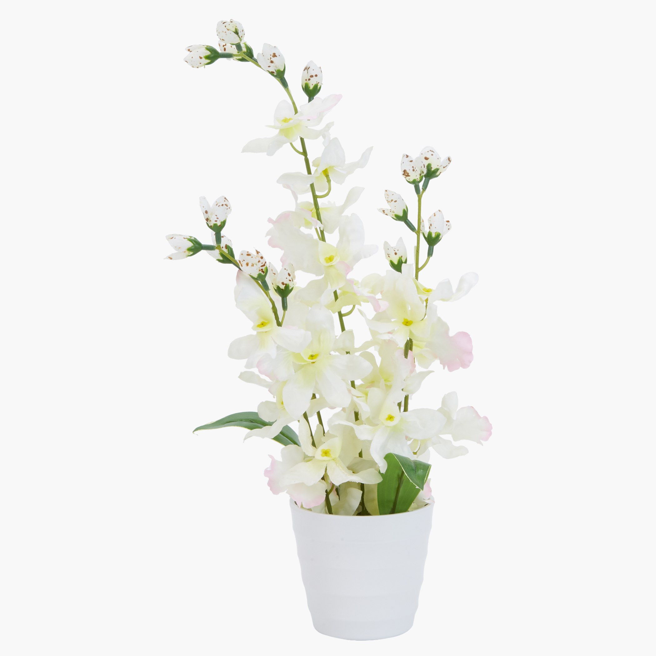 إناء أوركيد كارول-hbxdecorandfurnishings-homeaccessories-artificialflowersandplants-image-1