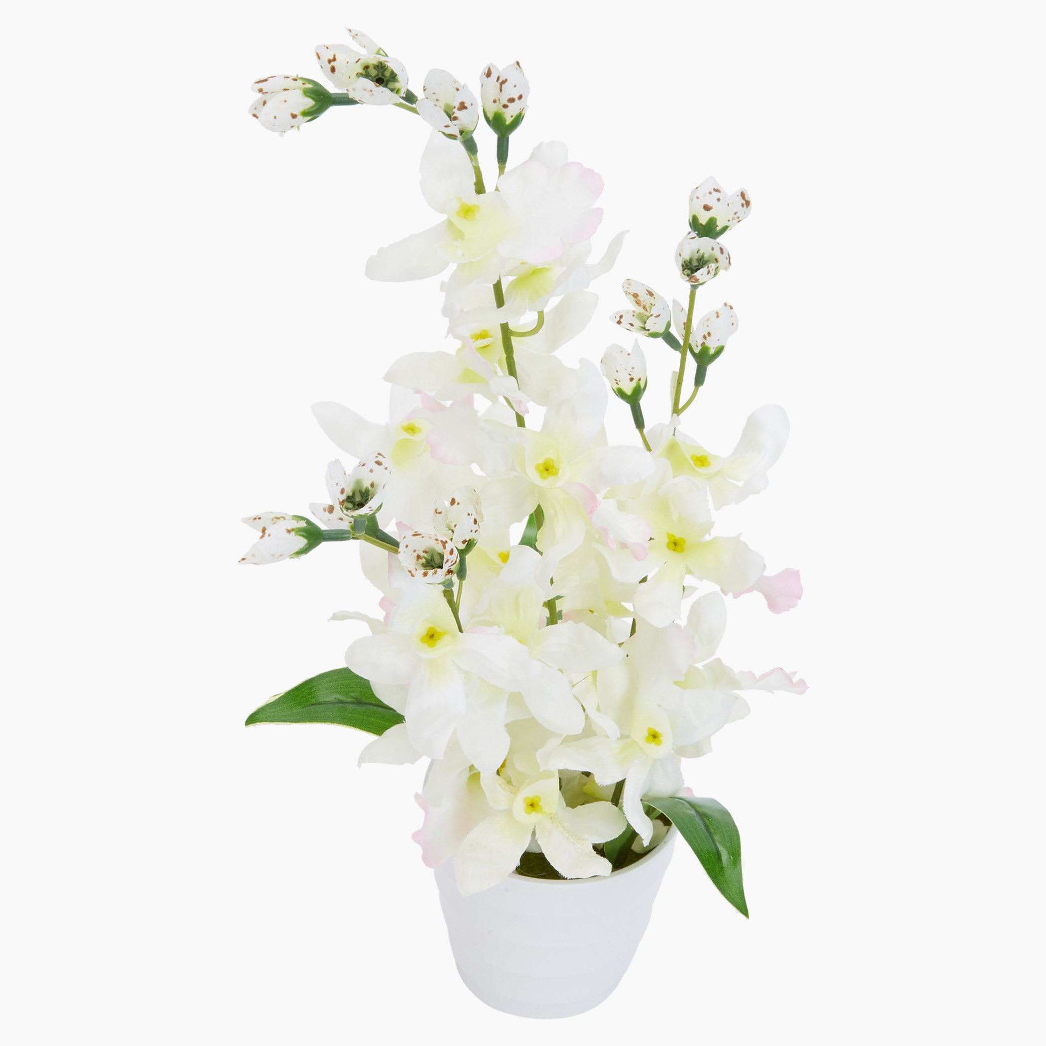 إناء أوركيد كارول-hbxdecorandfurnishings-homeaccessories-artificialflowersandplants-image-2