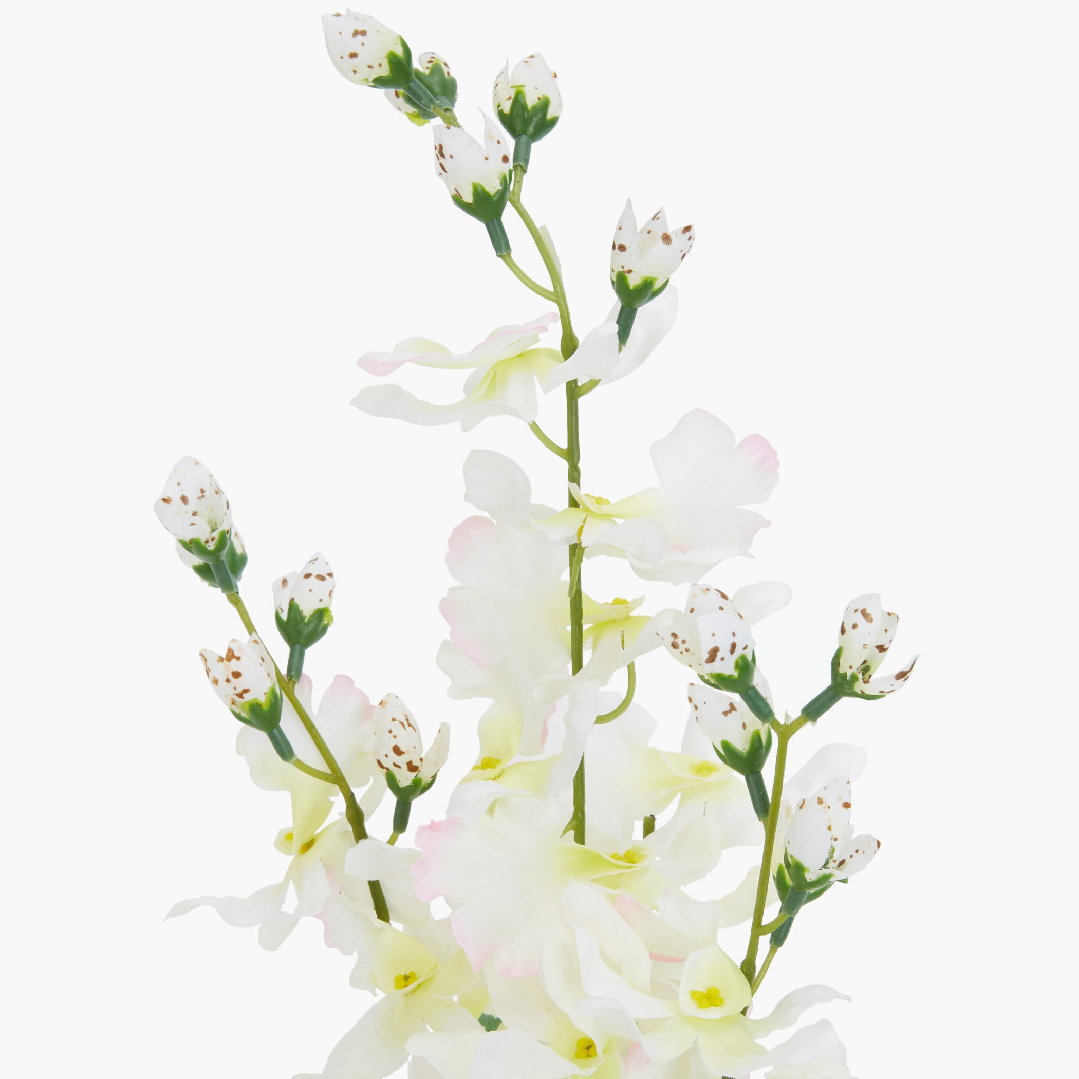 إناء أوركيد كارول-hbxdecorandfurnishings-homeaccessories-artificialflowersandplants-image-3