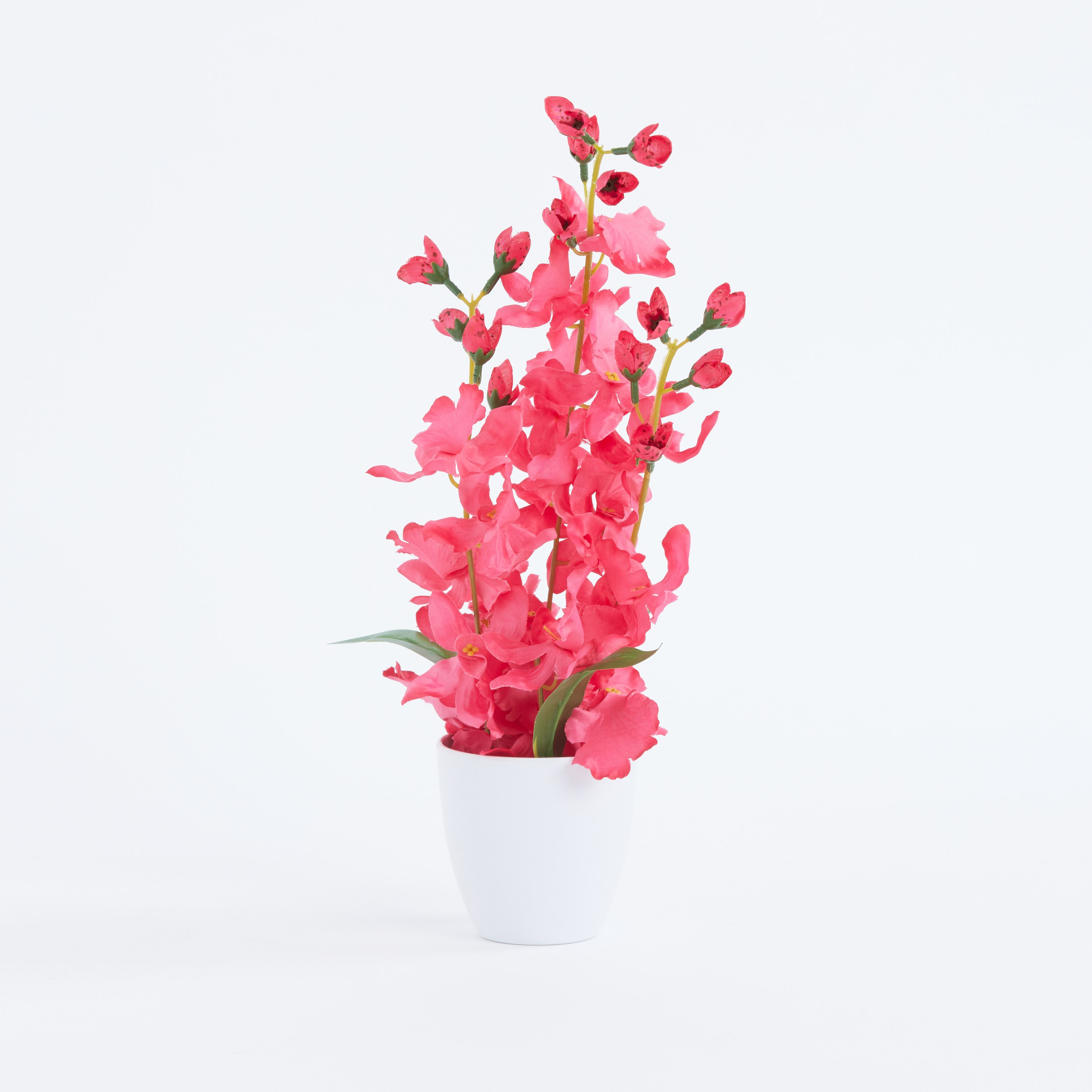 إناء أوركيد كارول دانسينج-hbxdecorandfurnishings-homeaccessories-artificialflowersandplants-image-1