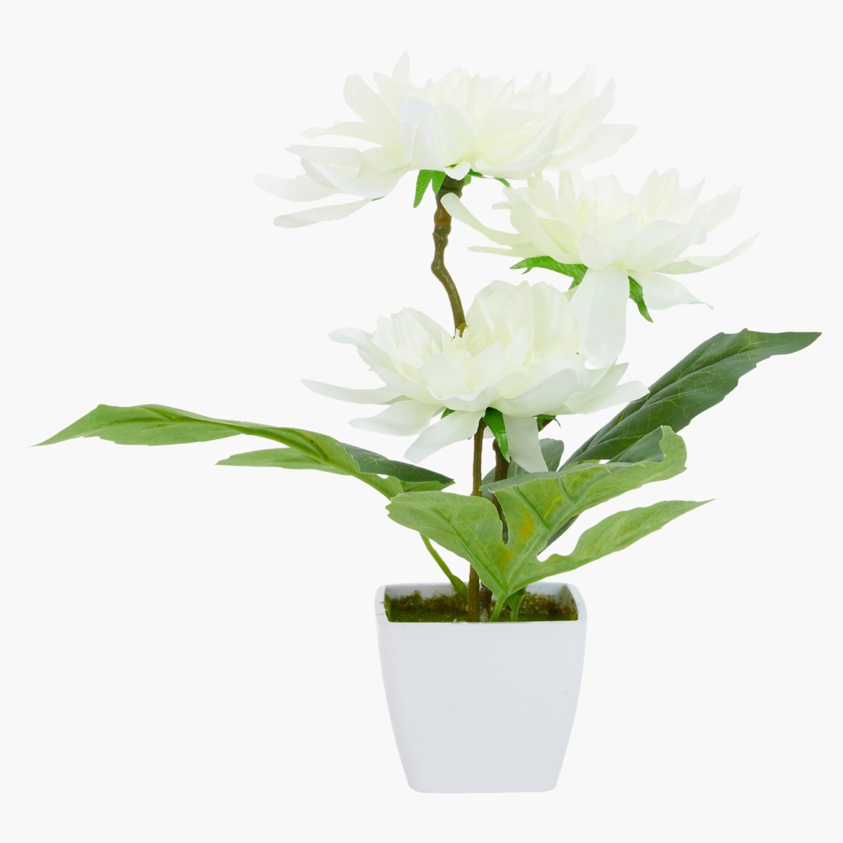 ورد داليا اصطناعي في إناء من دونا-hbxdecorandfurnishings-homeaccessories-artificialflowersandplants-image-2