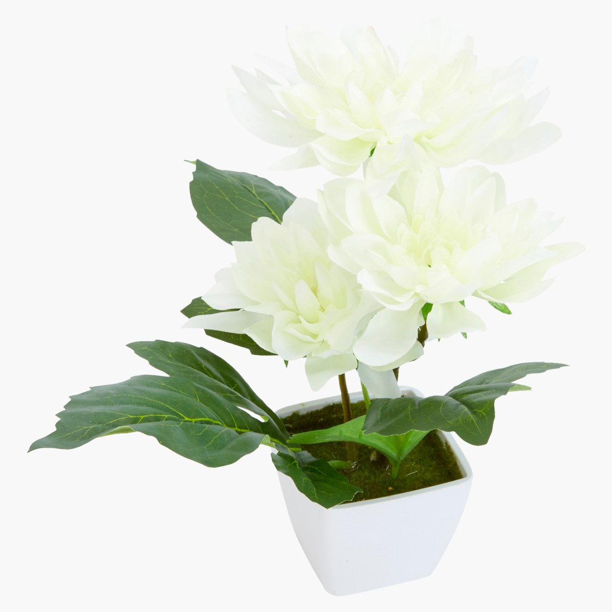 ورد داليا اصطناعي في إناء من دونا-hbxdecorandfurnishings-homeaccessories-artificialflowersandplants-image-3