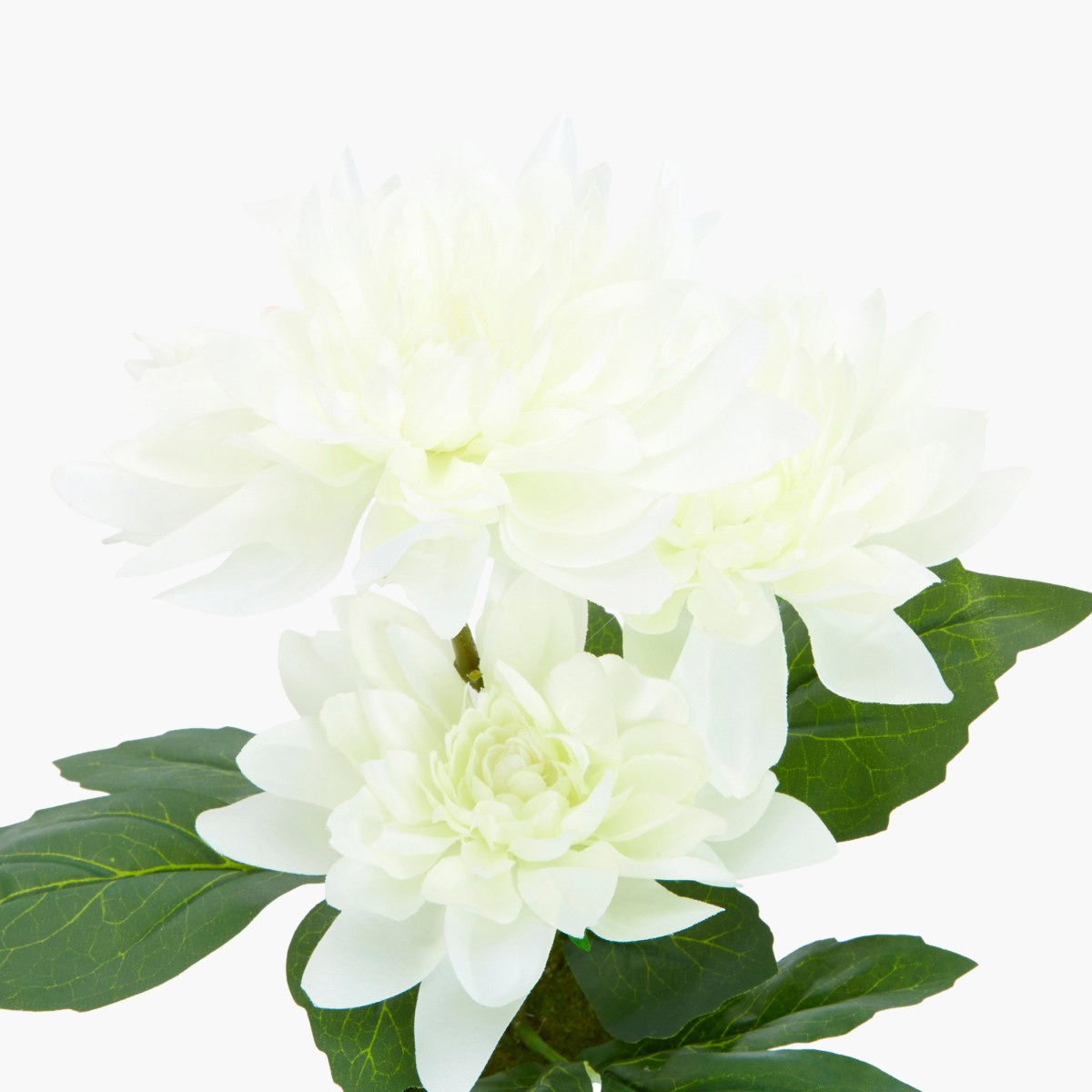 ورد داليا اصطناعي في إناء من دونا-hbxdecorandfurnishings-homeaccessories-artificialflowersandplants-image-4
