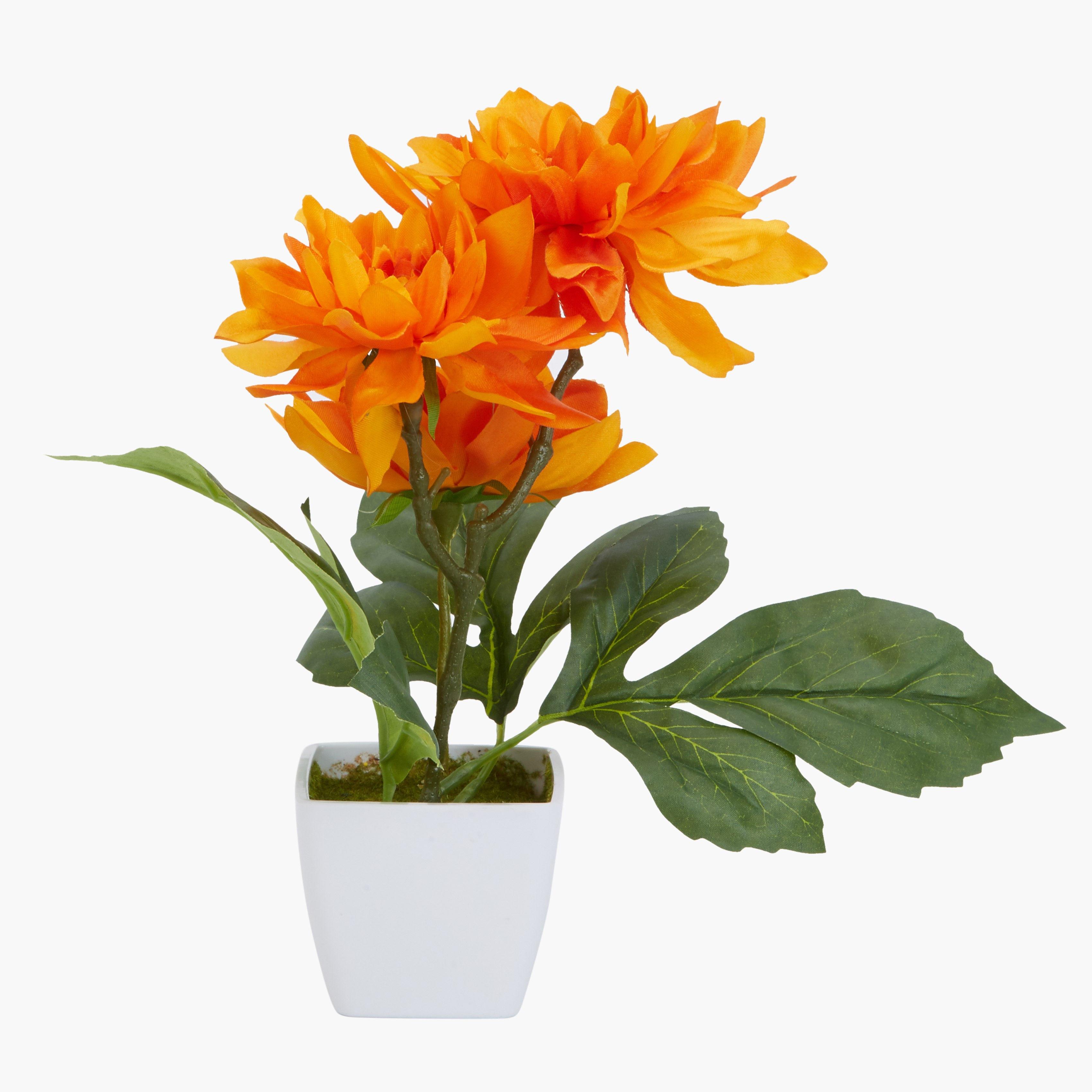 إناء ورد داليا مزيّن دونا-hbxdecorandfurnishings-homeaccessories-artificialflowersandplants-image-1