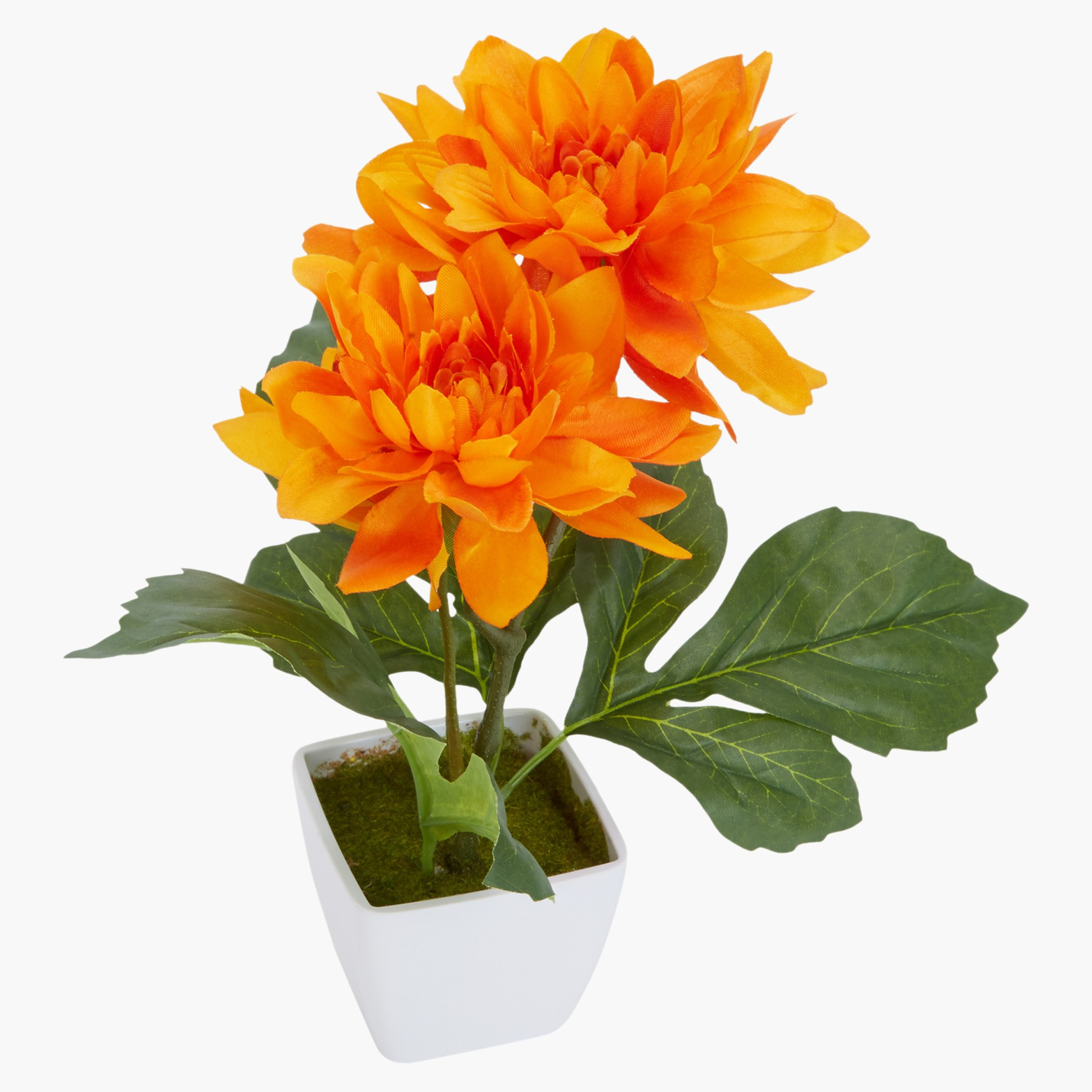 إناء ورد داليا مزيّن دونا-hbxdecorandfurnishings-homeaccessories-artificialflowersandplants-image-2