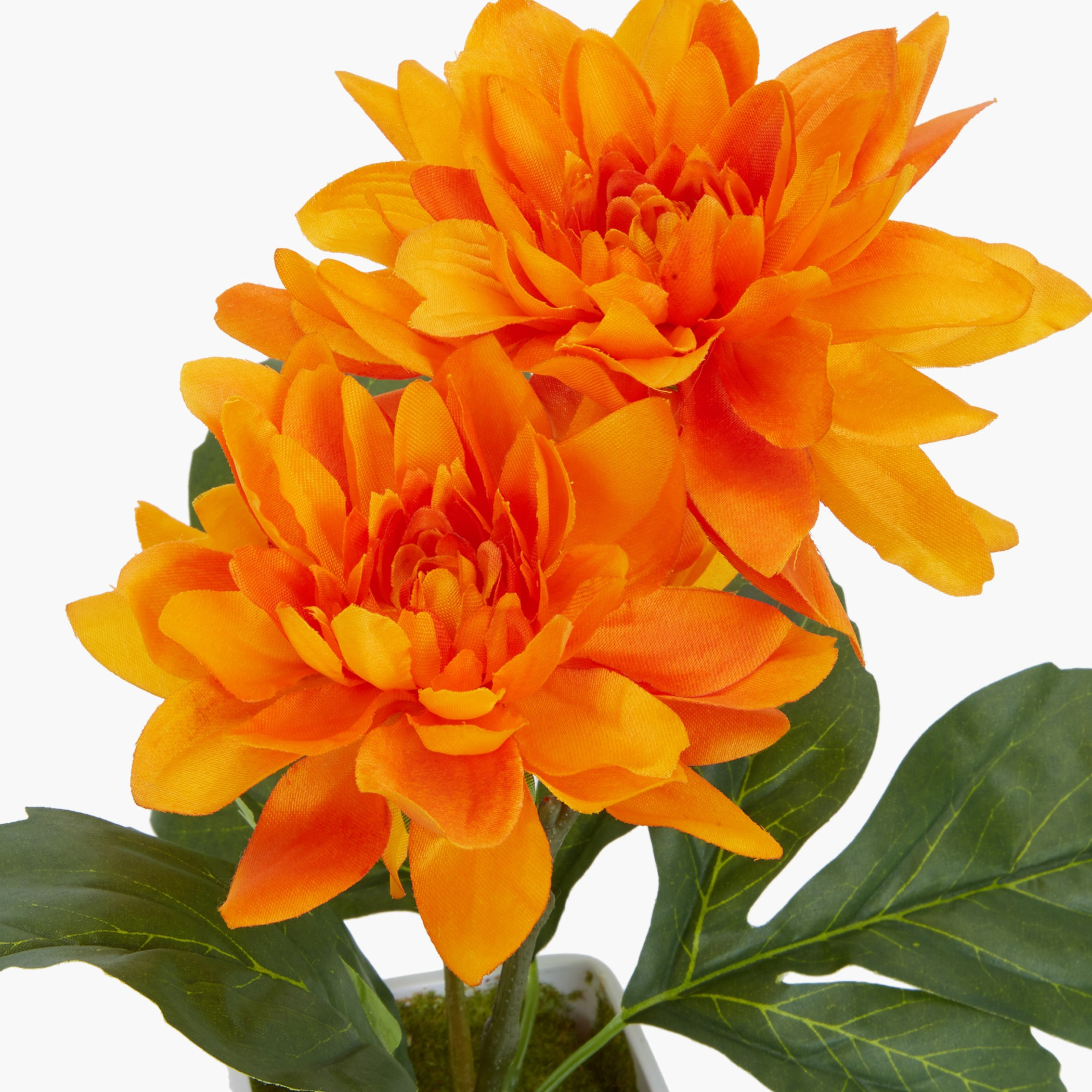 إناء ورد داليا مزيّن دونا-hbxdecorandfurnishings-homeaccessories-artificialflowersandplants-image-3