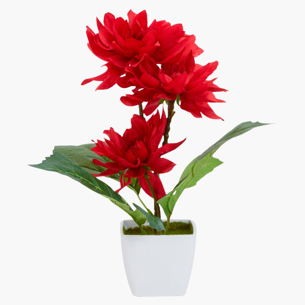 Donna Decorative Dahlia Flower with Pot-hbxdecorandfurnishings-homeaccessories-artificialflowersandplants-image-2
