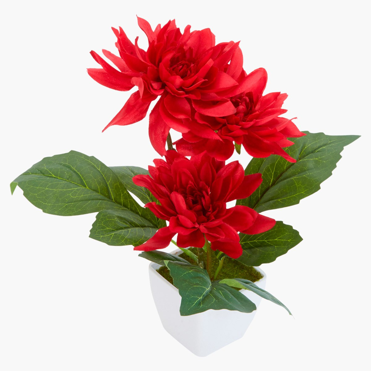 Donna Decorative Dahlia Flower with Pot-hbxdecorandfurnishings-homeaccessories-artificialflowersandplants-image-3