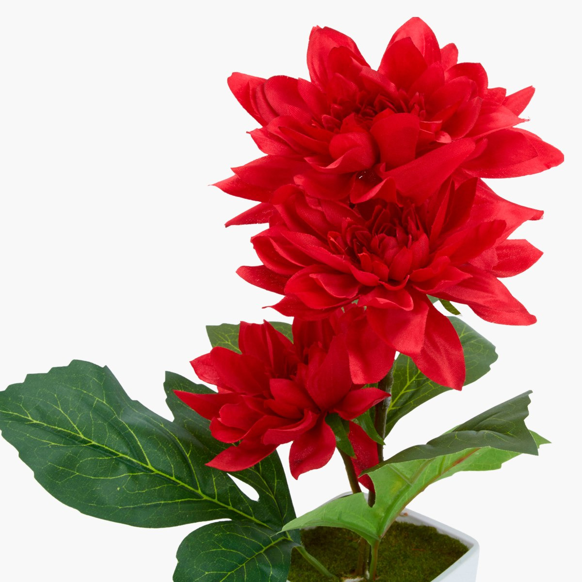 Donna Decorative Dahlia Flower with Pot-hbxdecorandfurnishings-homeaccessories-artificialflowersandplants-image-4