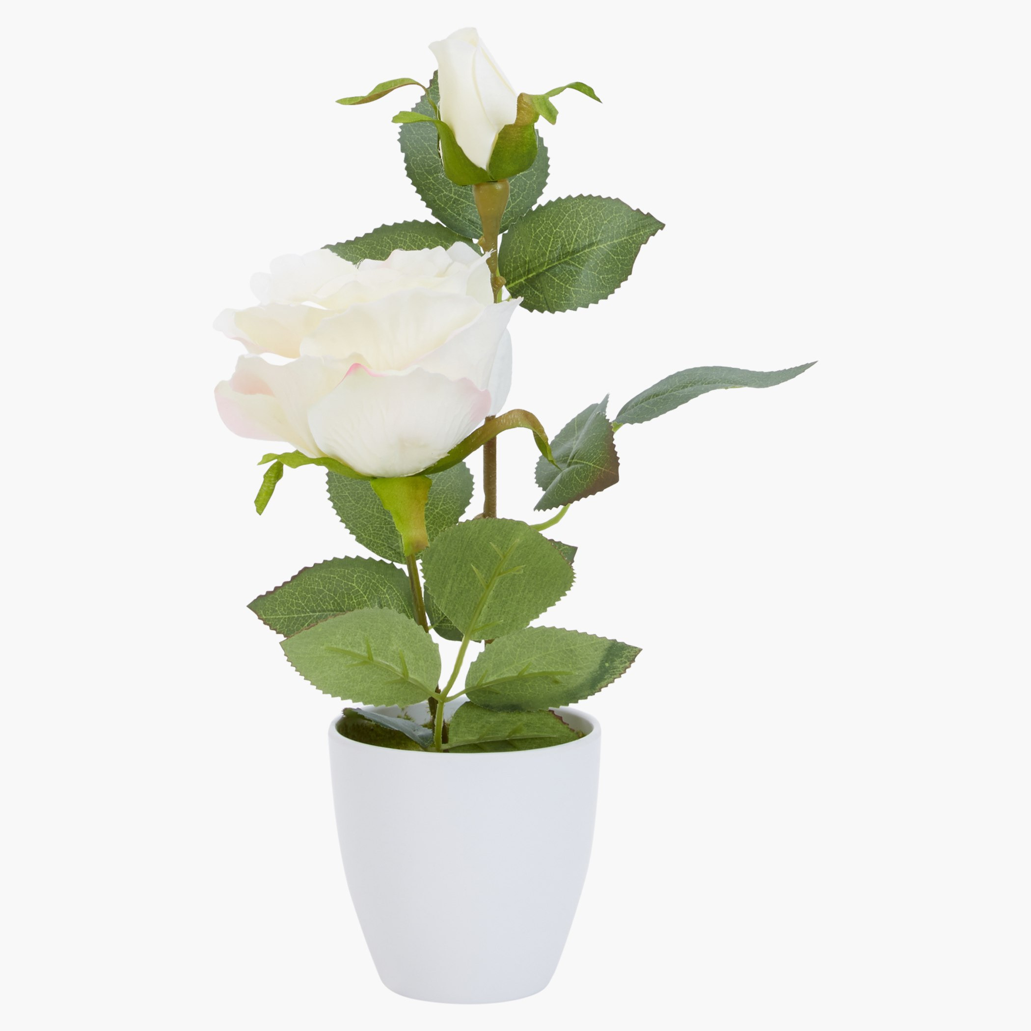 إناء روز مزيّن إيزابيل-hbxdecorandfurnishings-homeaccessories-artificialflowersandplants-image-1