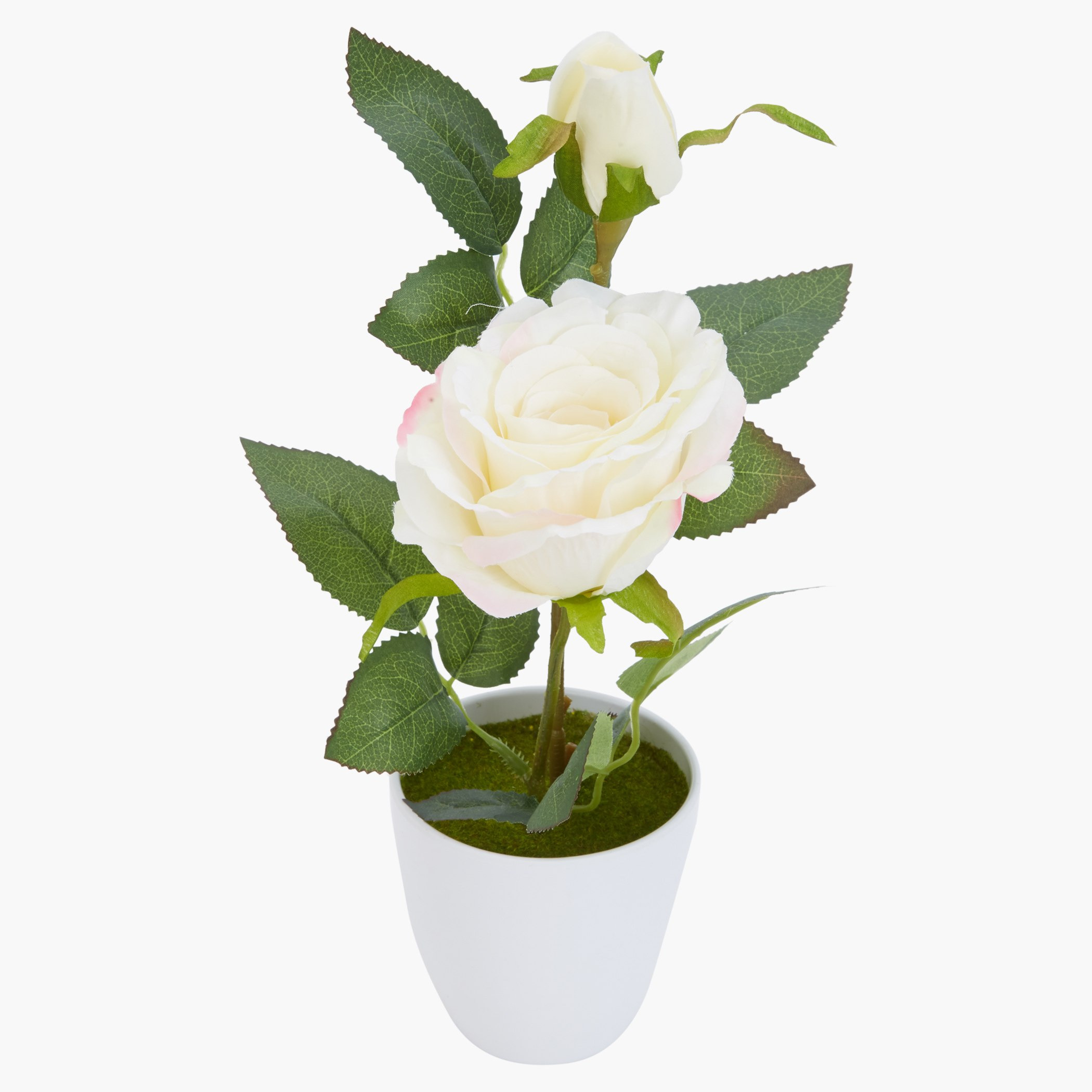 إناء روز مزيّن إيزابيل-hbxdecorandfurnishings-homeaccessories-artificialflowersandplants-image-2