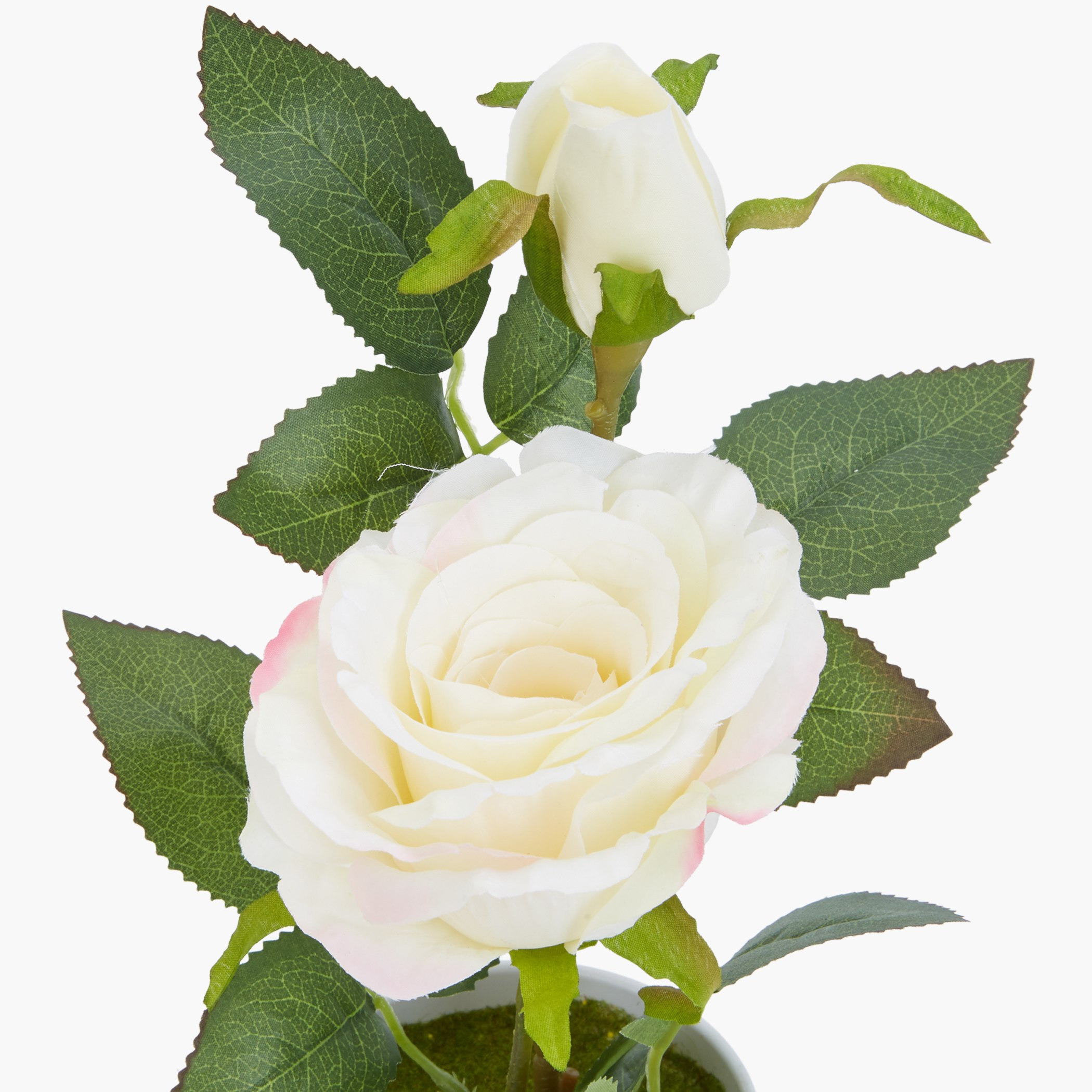 إناء روز مزيّن إيزابيل-hbxdecorandfurnishings-homeaccessories-artificialflowersandplants-image-3