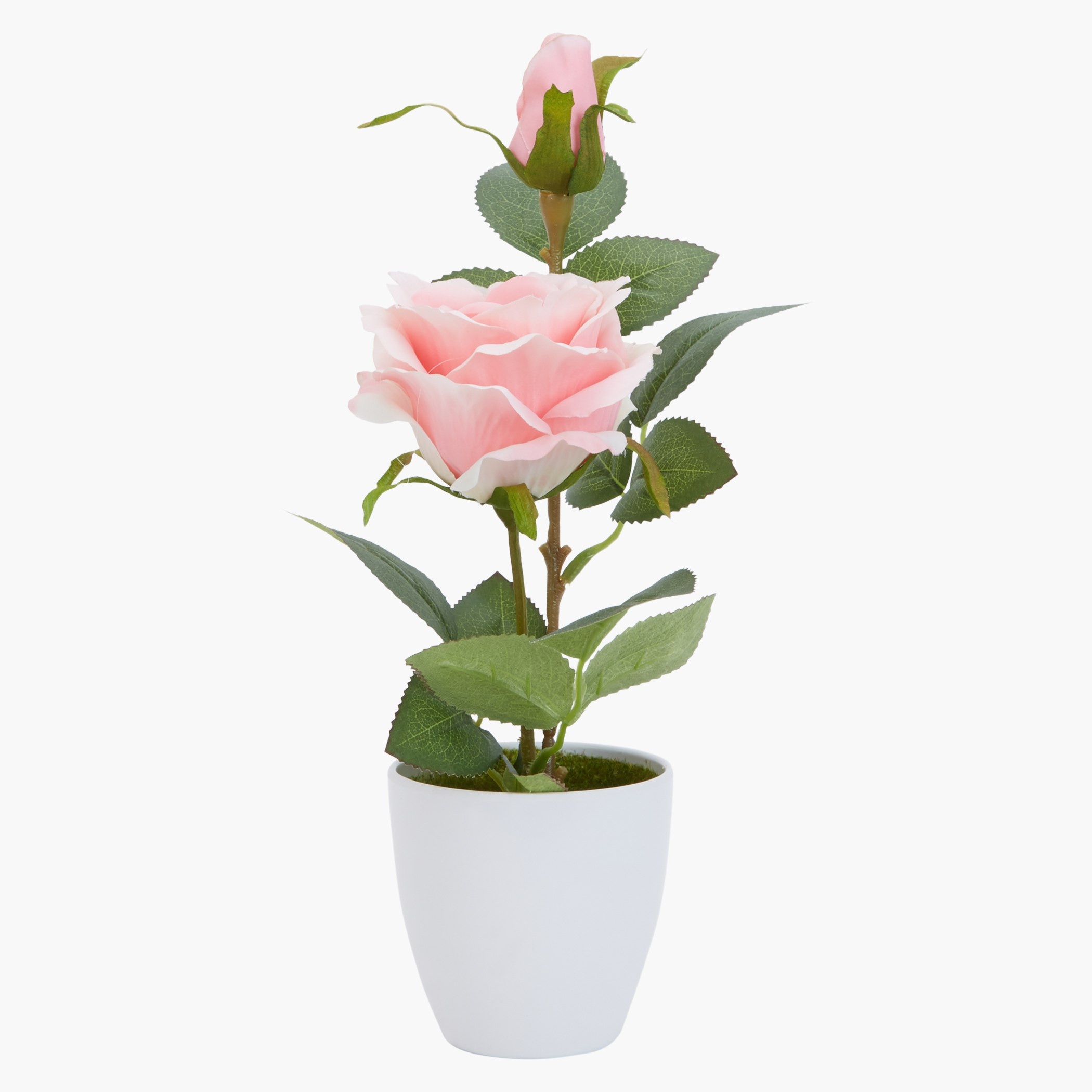 Isabelle Decorative Rose with Pot-hbxdecorandfurnishings-homeaccessories-artificialflowersandplants-image-1