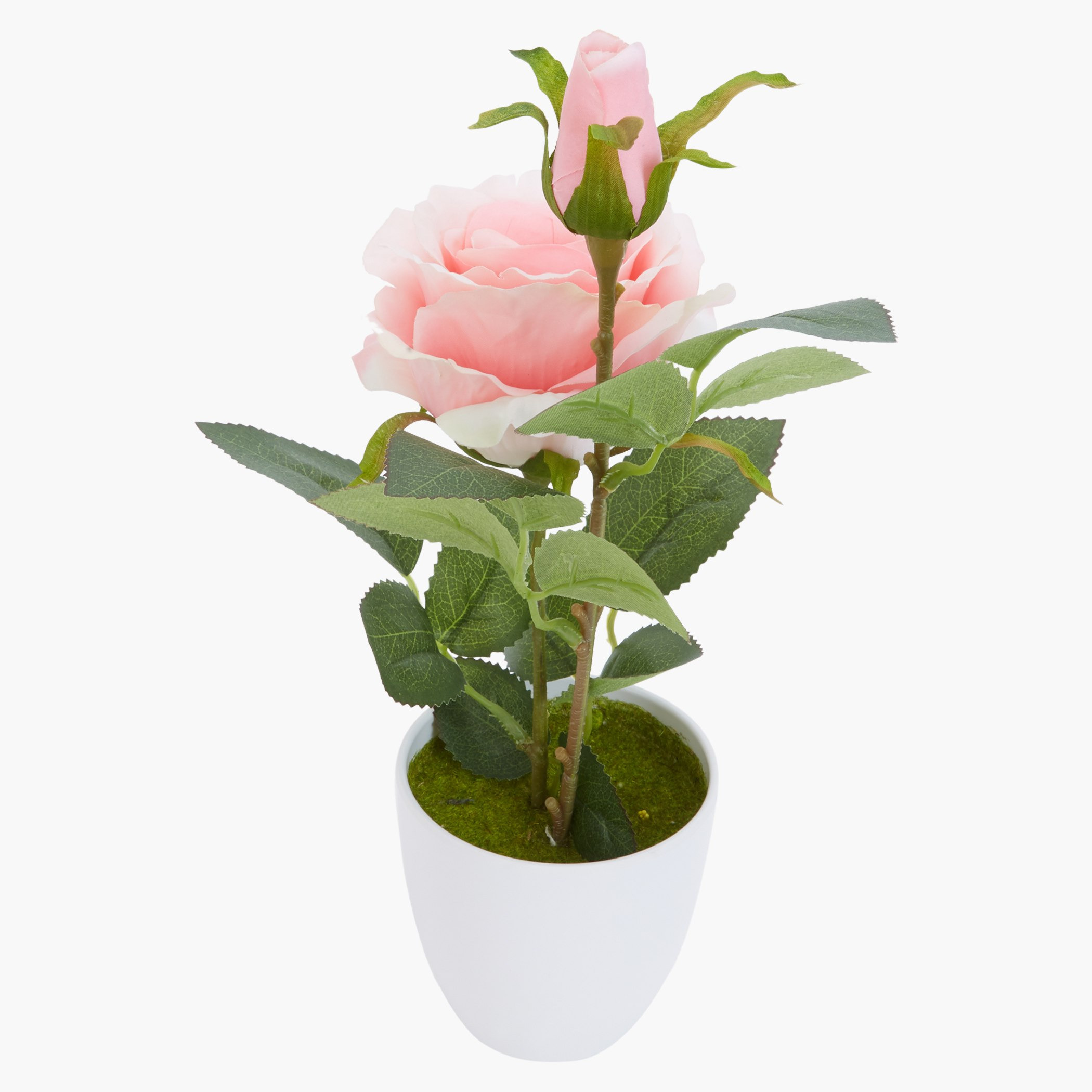 Isabelle Decorative Rose with Pot-hbxdecorandfurnishings-homeaccessories-artificialflowersandplants-image-2