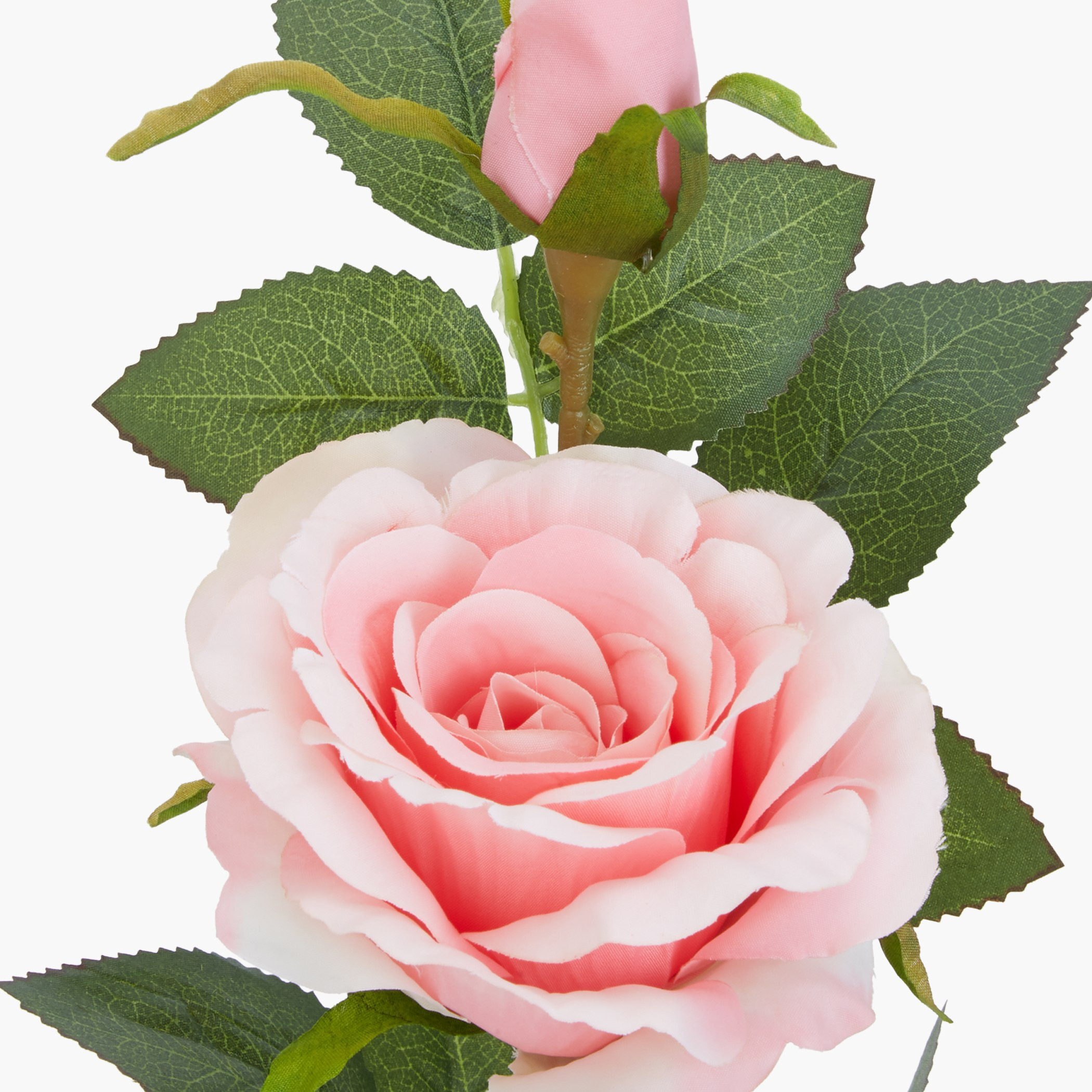 Isabelle Decorative Rose with Pot-hbxdecorandfurnishings-homeaccessories-artificialflowersandplants-image-3