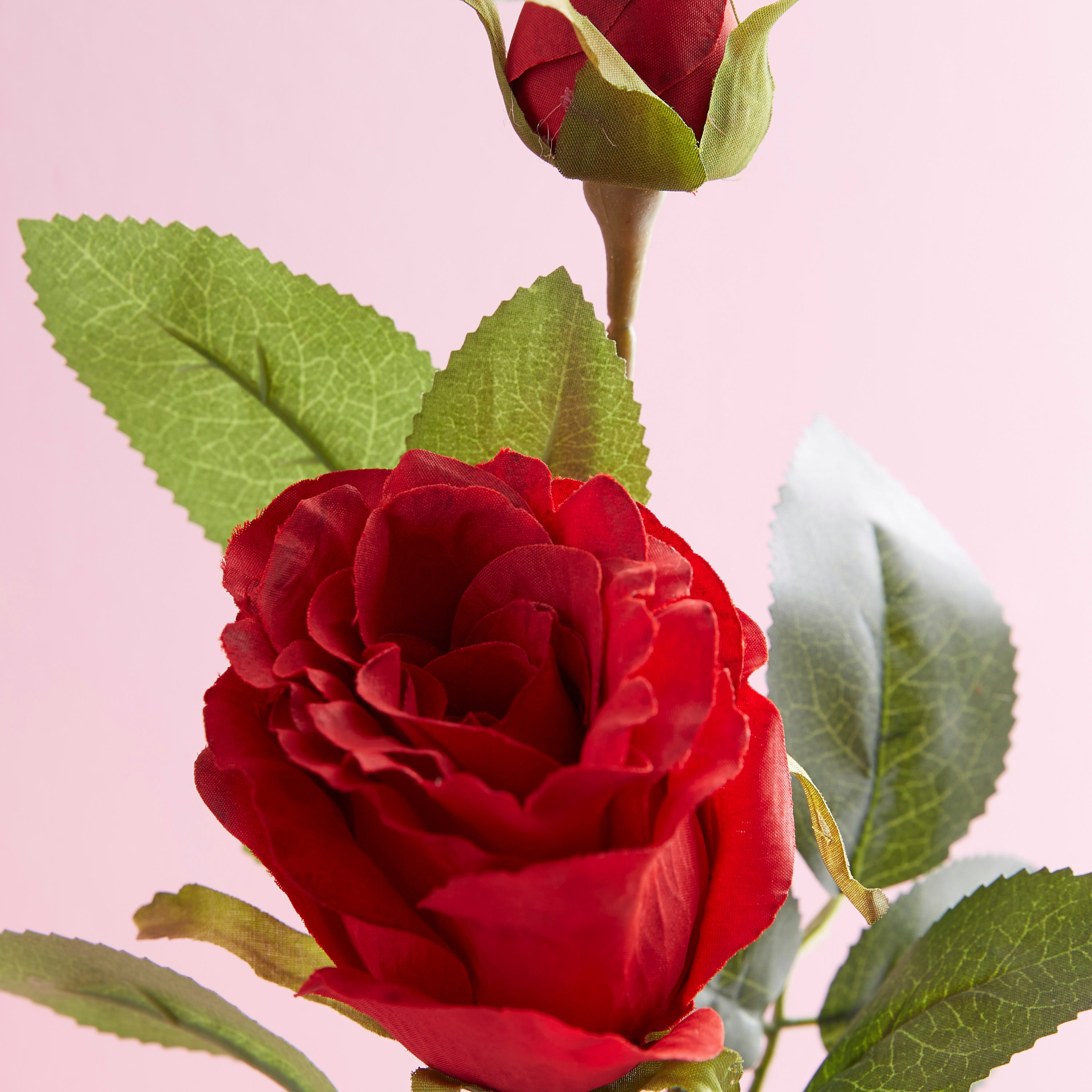 Isabelle Decorative Rose with Pot-hbxdecorandfurnishings-homeaccessories-artificialflowersandplants-image-2