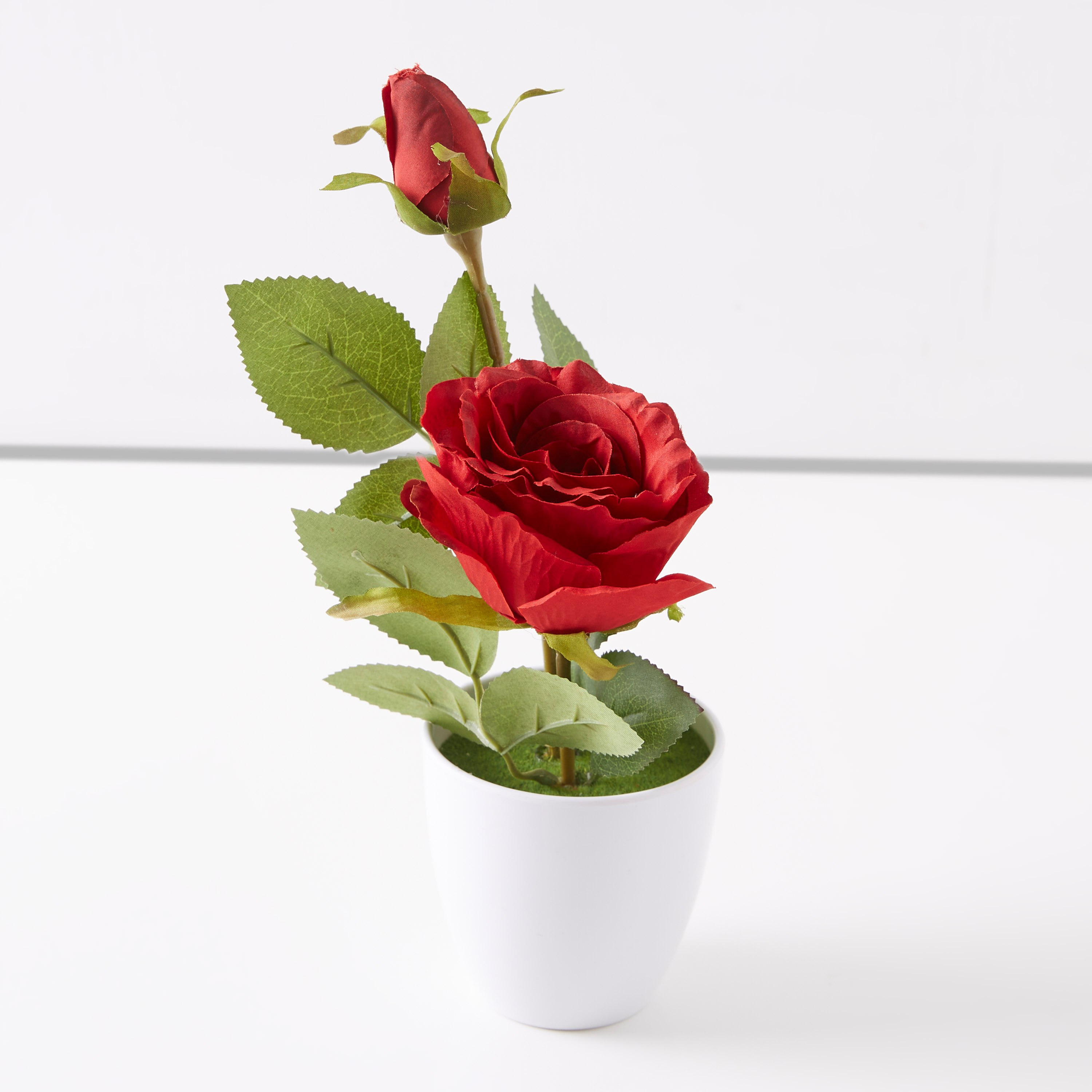 Isabelle Decorative Rose with Pot-hbxdecorandfurnishings-homeaccessories-artificialflowersandplants-image-4