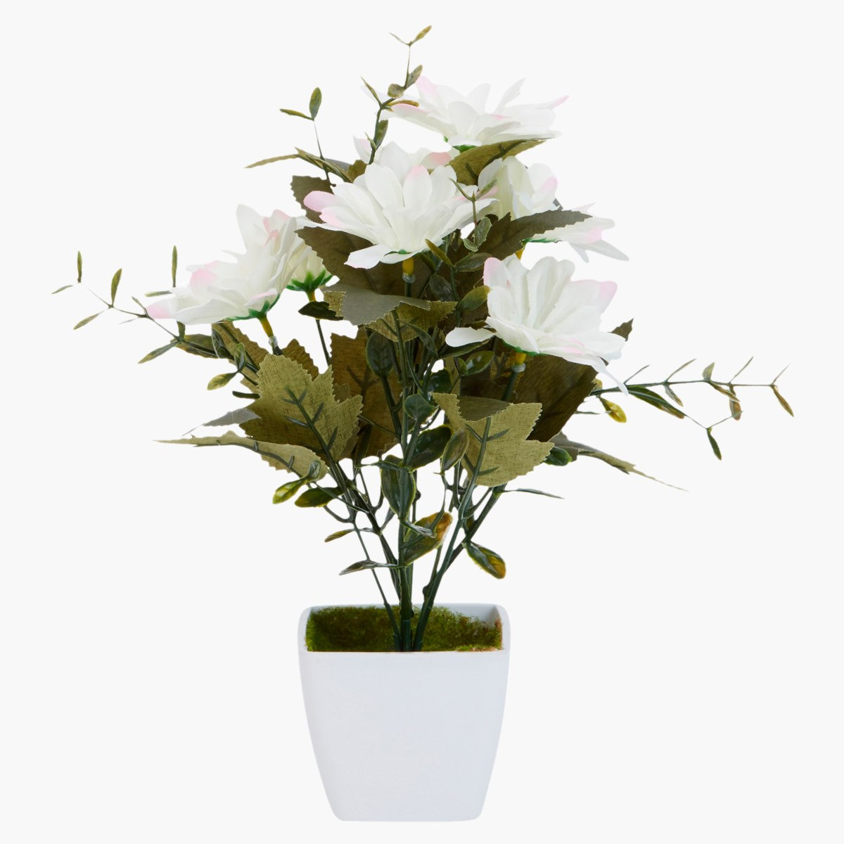 زهرة جيربيرا ديكور في إناء من أوليفيا-hbxdecorandfurnishings-homeaccessories-artificialflowersandplants-image-2
