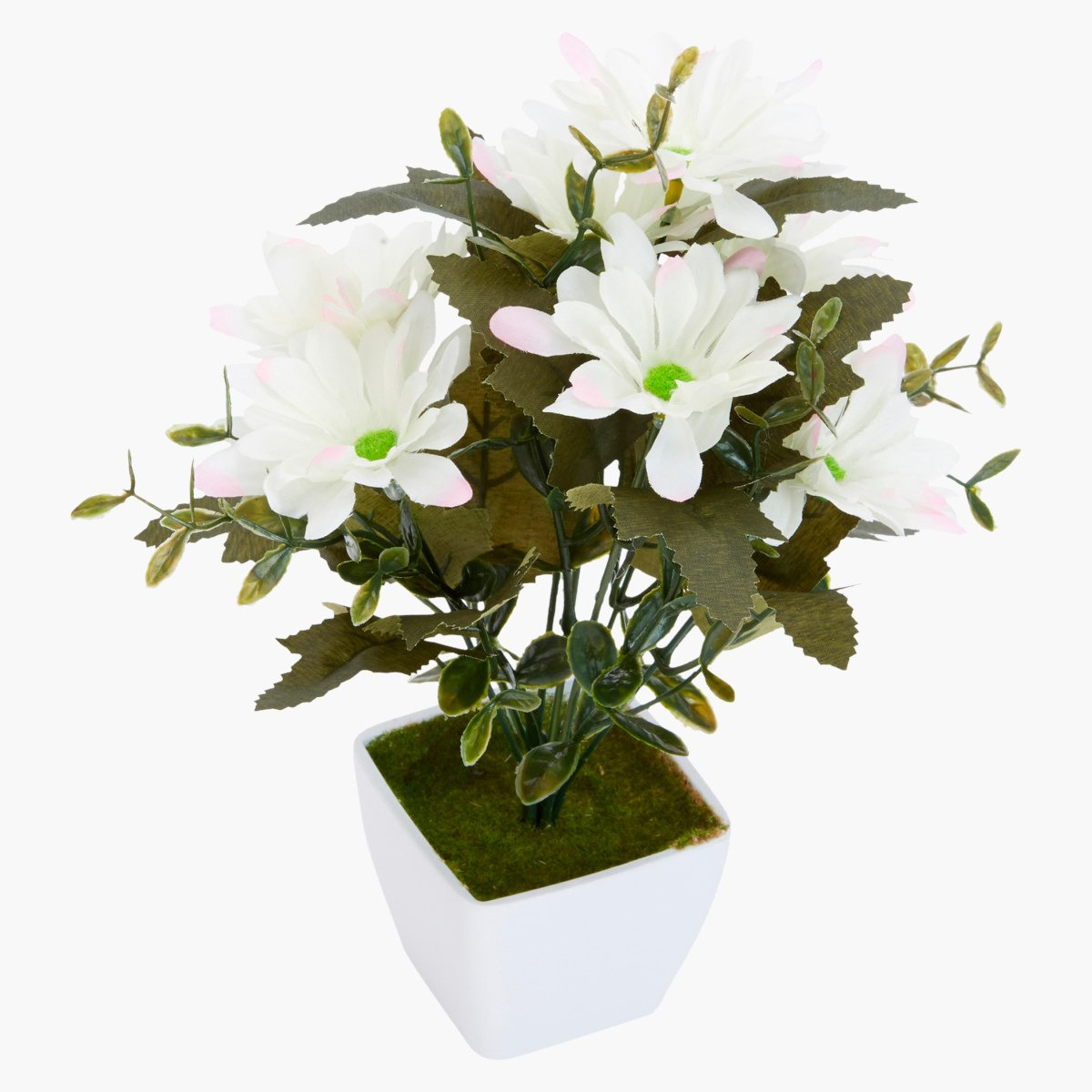 زهرة جيربيرا ديكور في إناء من أوليفيا-hbxdecorandfurnishings-homeaccessories-artificialflowersandplants-image-3