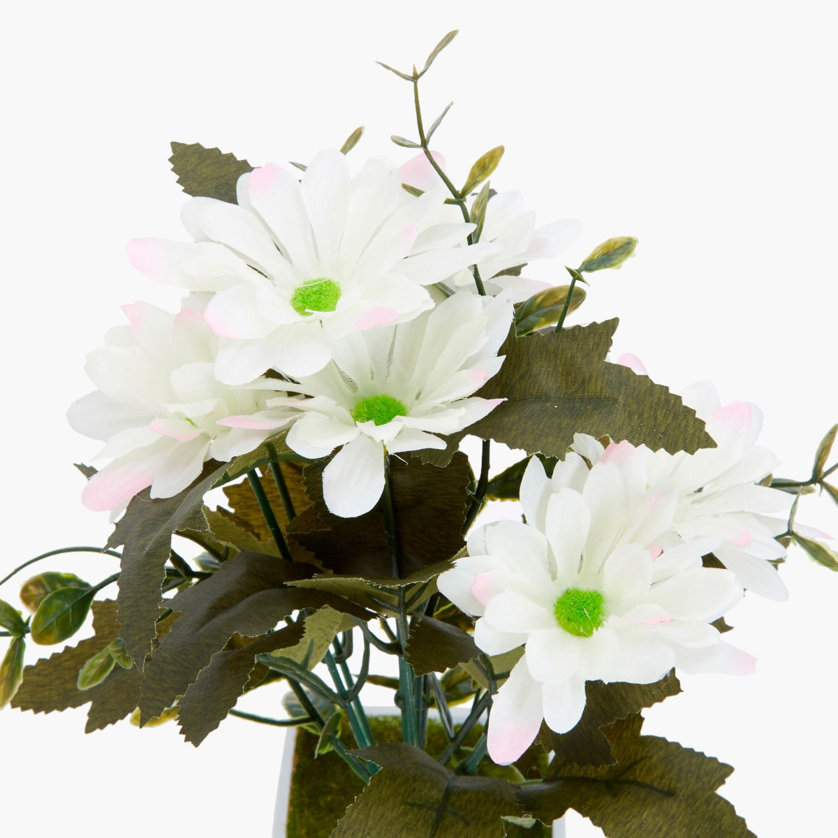 زهرة جيربيرا ديكور في إناء من أوليفيا-hbxdecorandfurnishings-homeaccessories-artificialflowersandplants-image-4