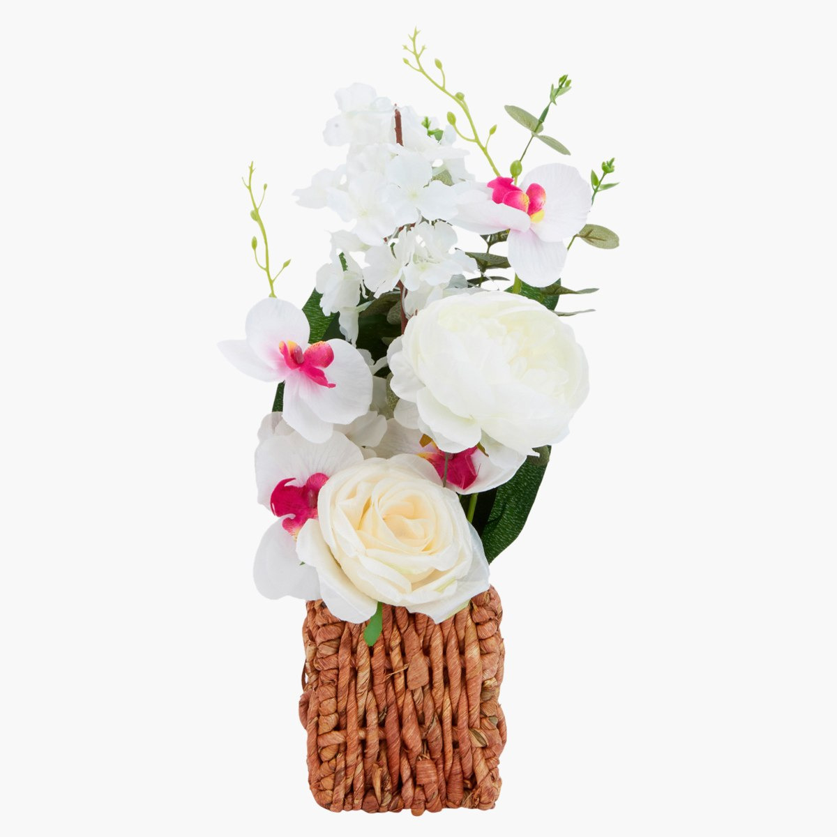 نبات زينة في إصيص من بترا-hbxdecorandfurnishings-homeaccessories-artificialflowersandplants-image-2