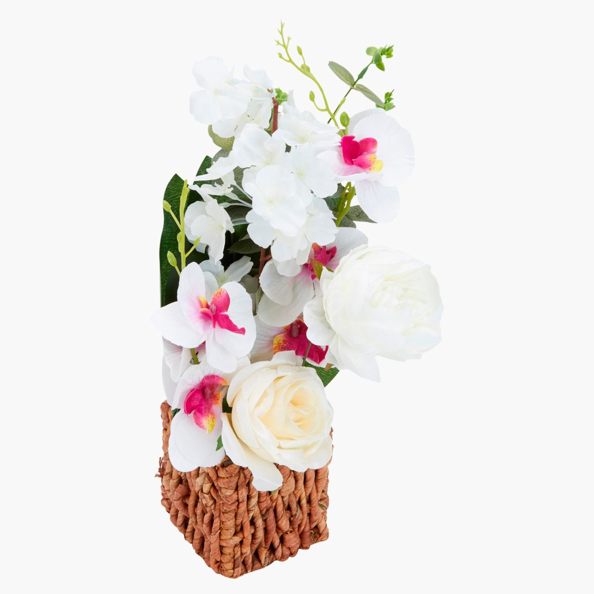 نبات زينة في إصيص من بترا-hbxdecorandfurnishings-homeaccessories-artificialflowersandplants-image-3