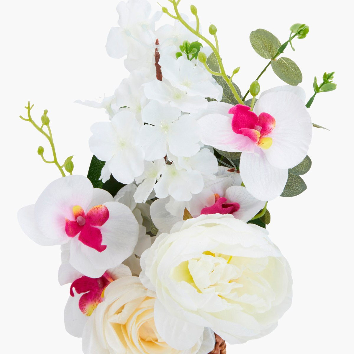 نبات زينة في إصيص من بترا-hbxdecorandfurnishings-homeaccessories-artificialflowersandplants-image-4