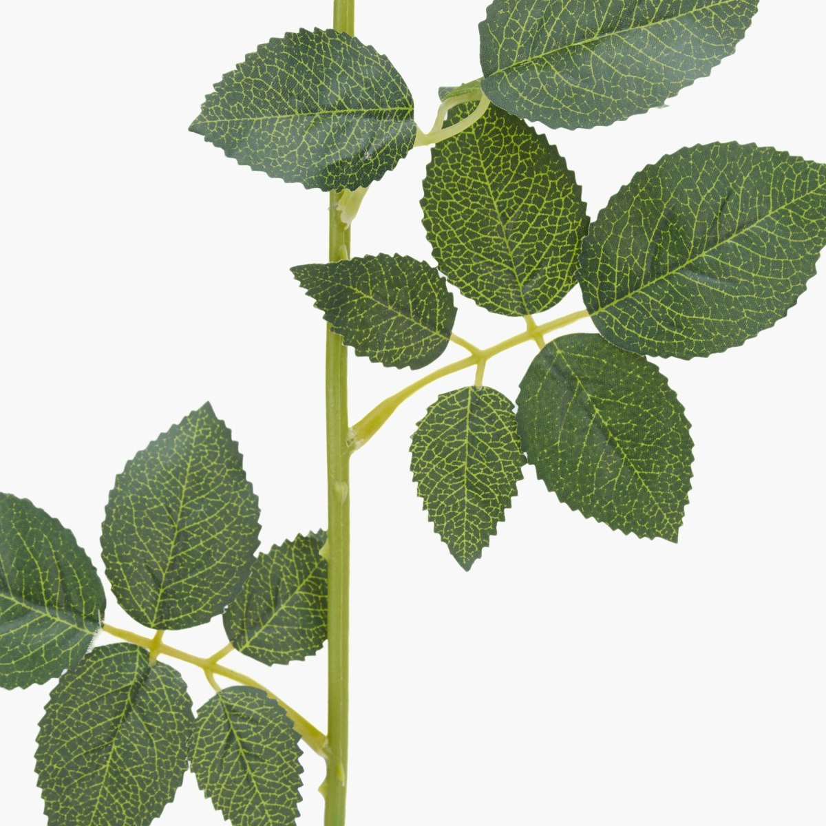 Rose Decorative Flower Stick-hbxdecorandfurnishings-homeaccessories-artificialflowersandplants-image-4