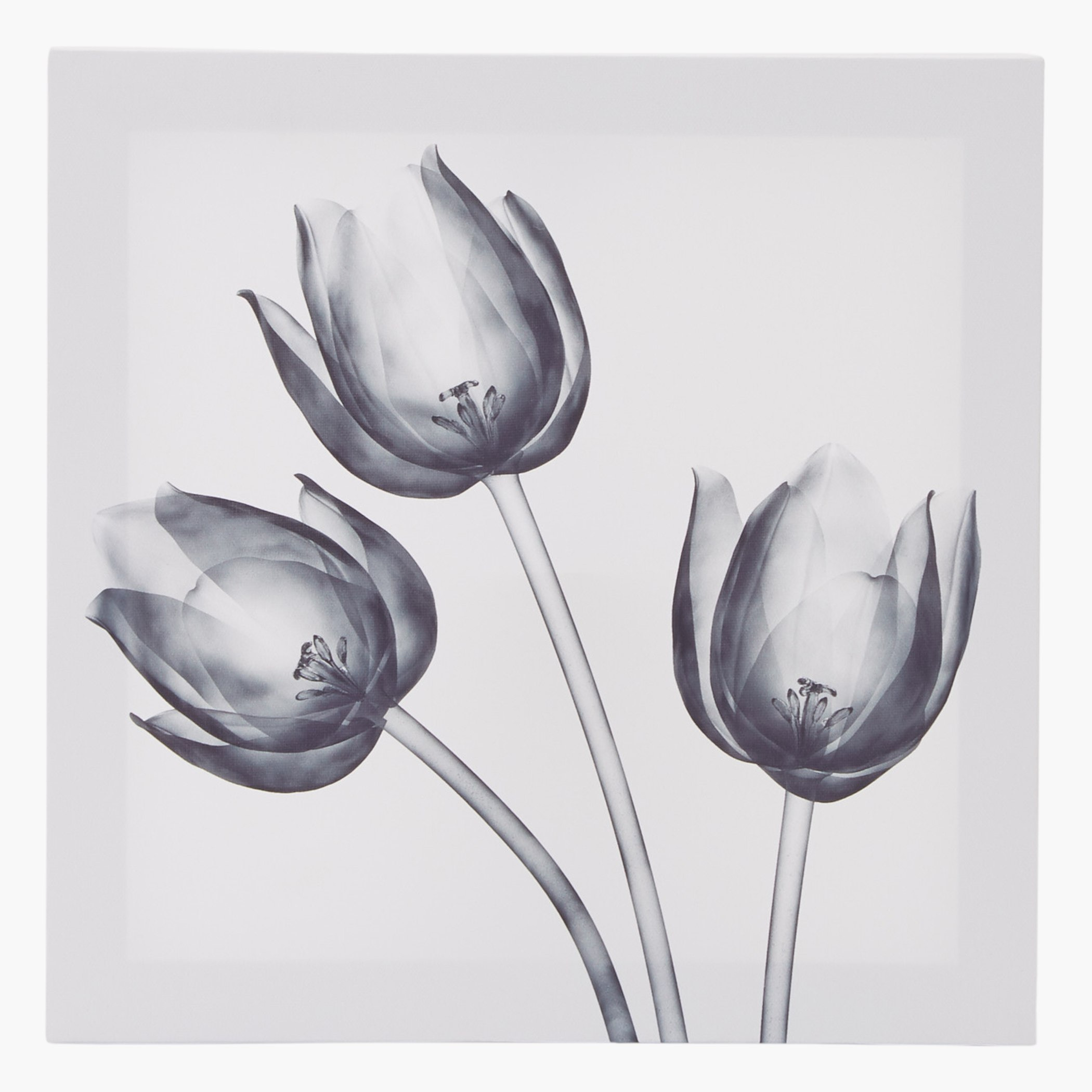 صورة مؤطرة تعلق على الحائط فلوريت - طقم من 3 قطع-hbxhomeware-hbxdecorandfurnishings-image-2