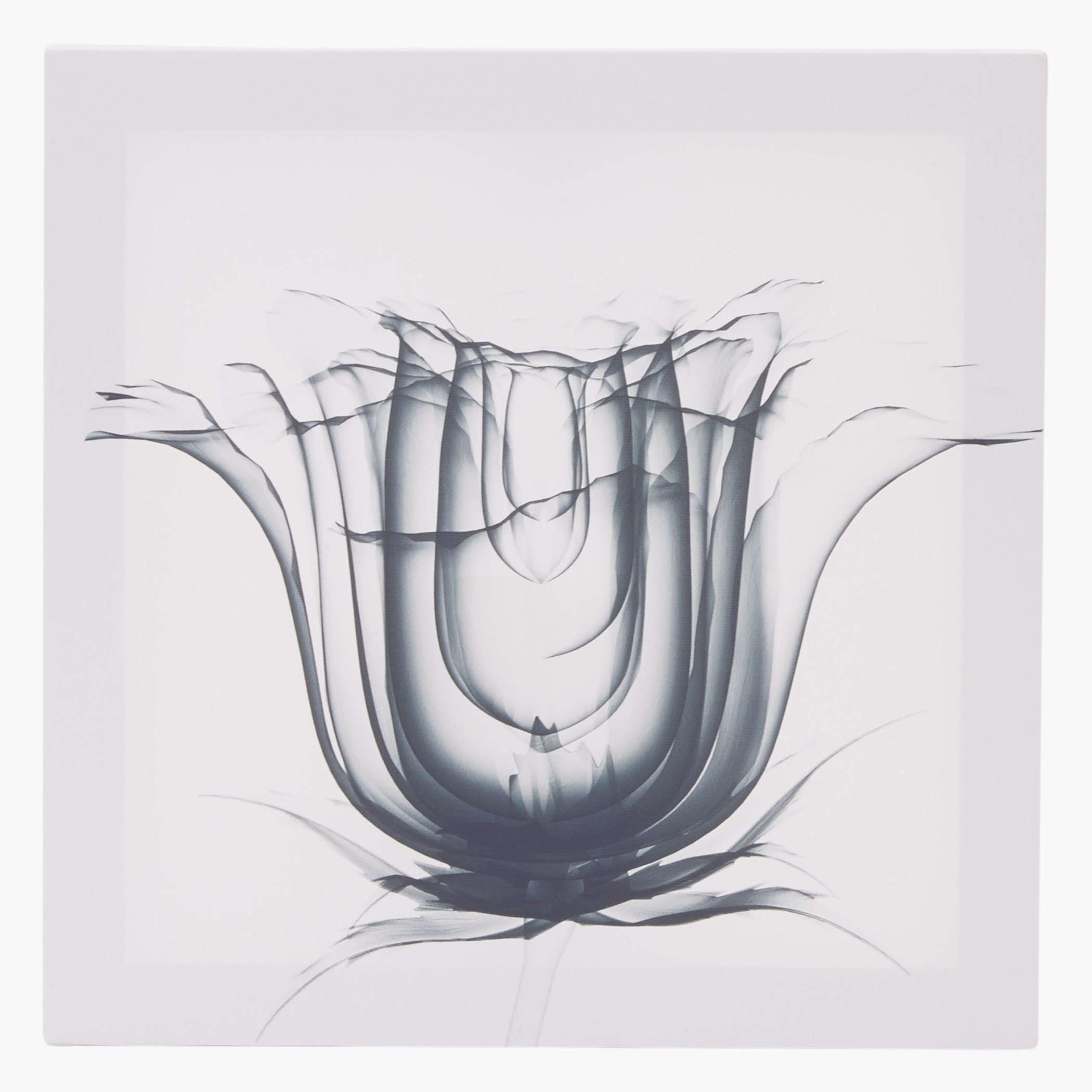 صورة مؤطرة تعلق على الحائط فلوريت - طقم من 3 قطع-hbxhomeware-hbxdecorandfurnishings-image-4