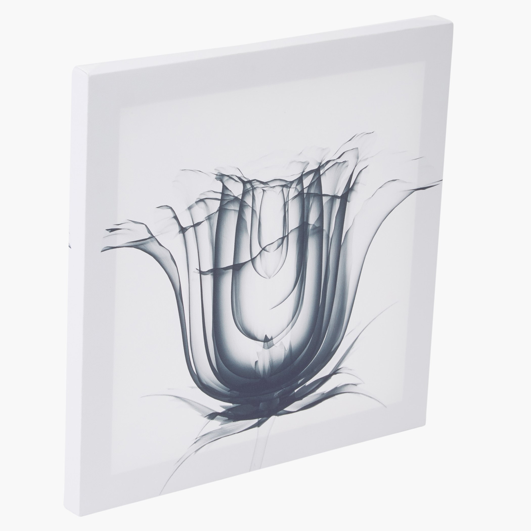 صورة مؤطرة تعلق على الحائط فلوريت - طقم من 3 قطع-hbxhomeware-hbxdecorandfurnishings-image-5