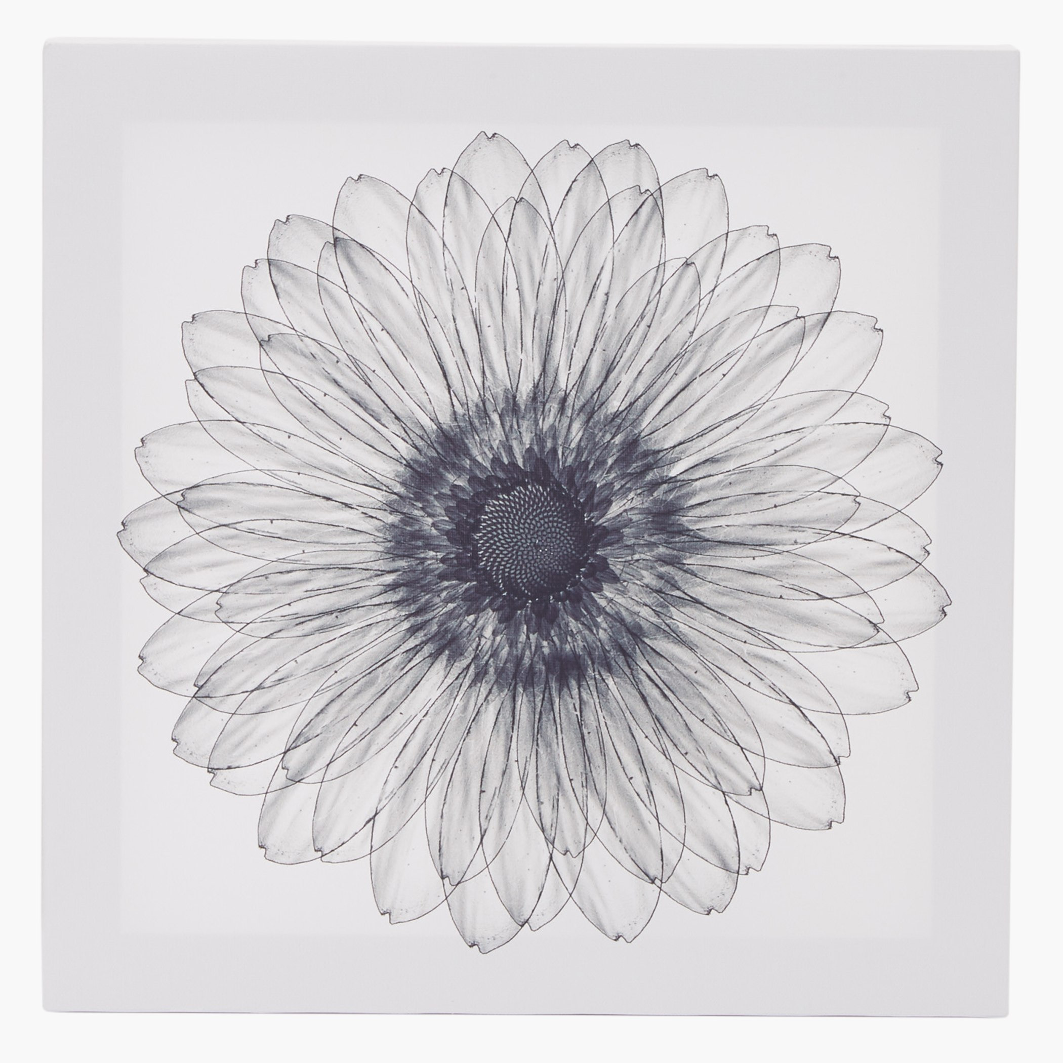 صورة مؤطرة تعلق على الحائط فلوريت - طقم من 3 قطع-hbxhomeware-hbxdecorandfurnishings-image-6