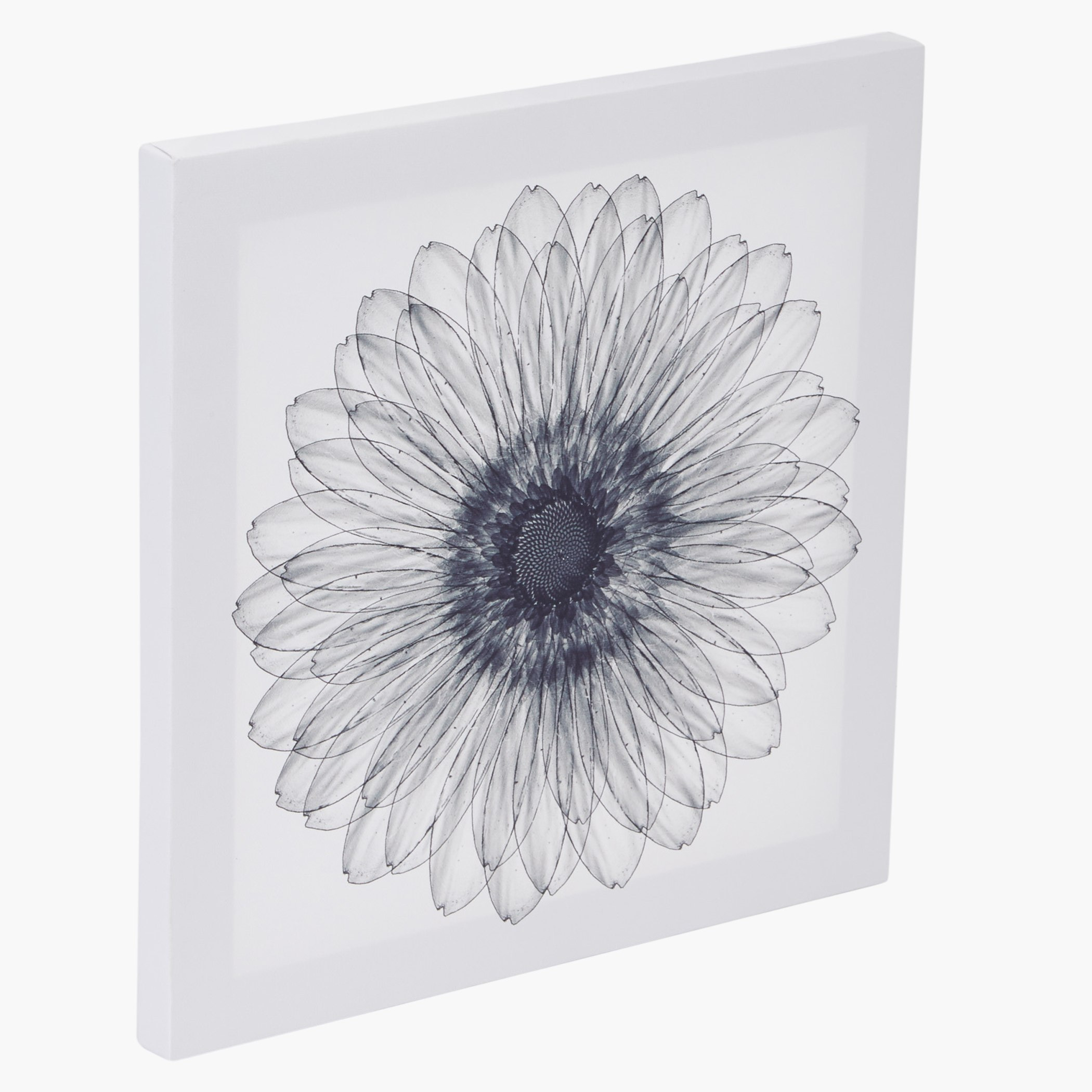 صورة مؤطرة تعلق على الحائط فلوريت - طقم من 3 قطع-hbxhomeware-hbxdecorandfurnishings-image-7