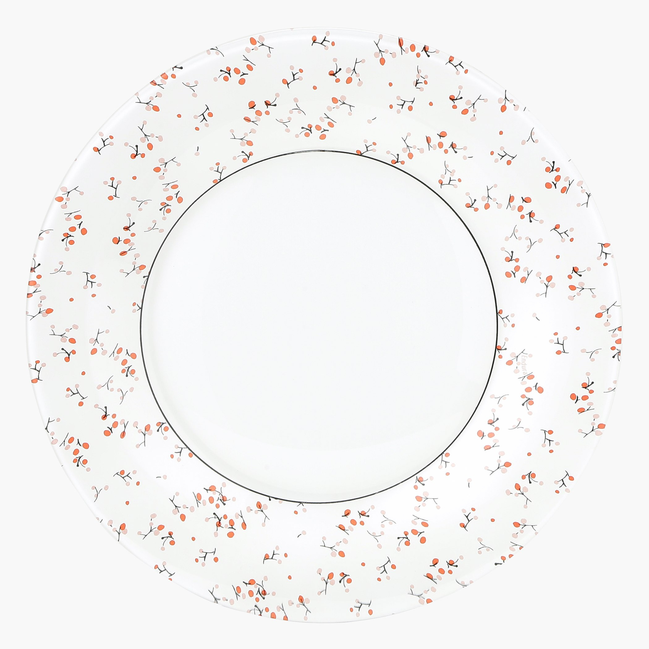 Tapis Printed 6-Piece Dinner Plate Set-hbxdecorandfurnishings-tabletop-crockery-image-2