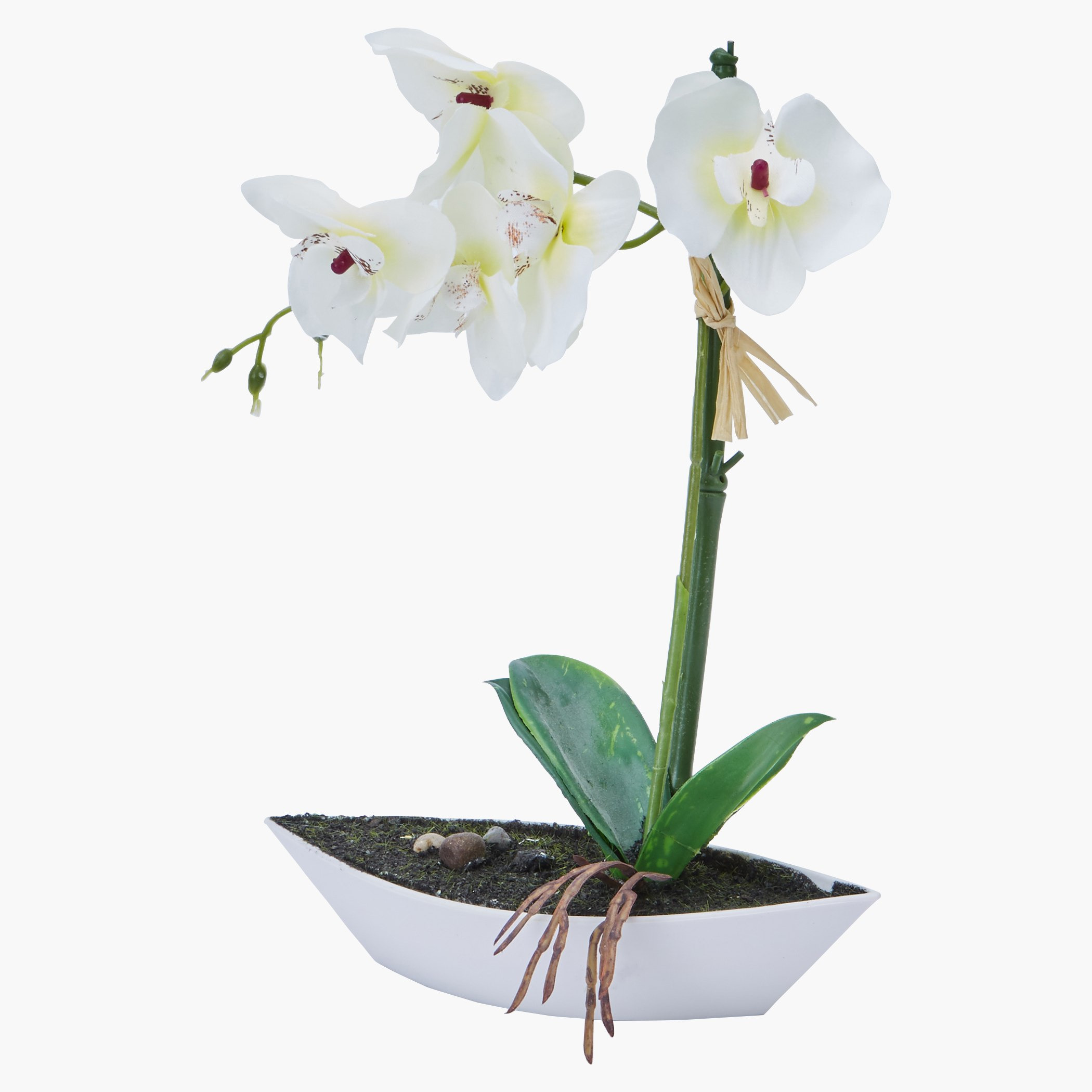 إناء زهرة أوركيد مزخرف-hbxdecorandfurnishings-homeaccessories-artificialflowersandplants-image-1