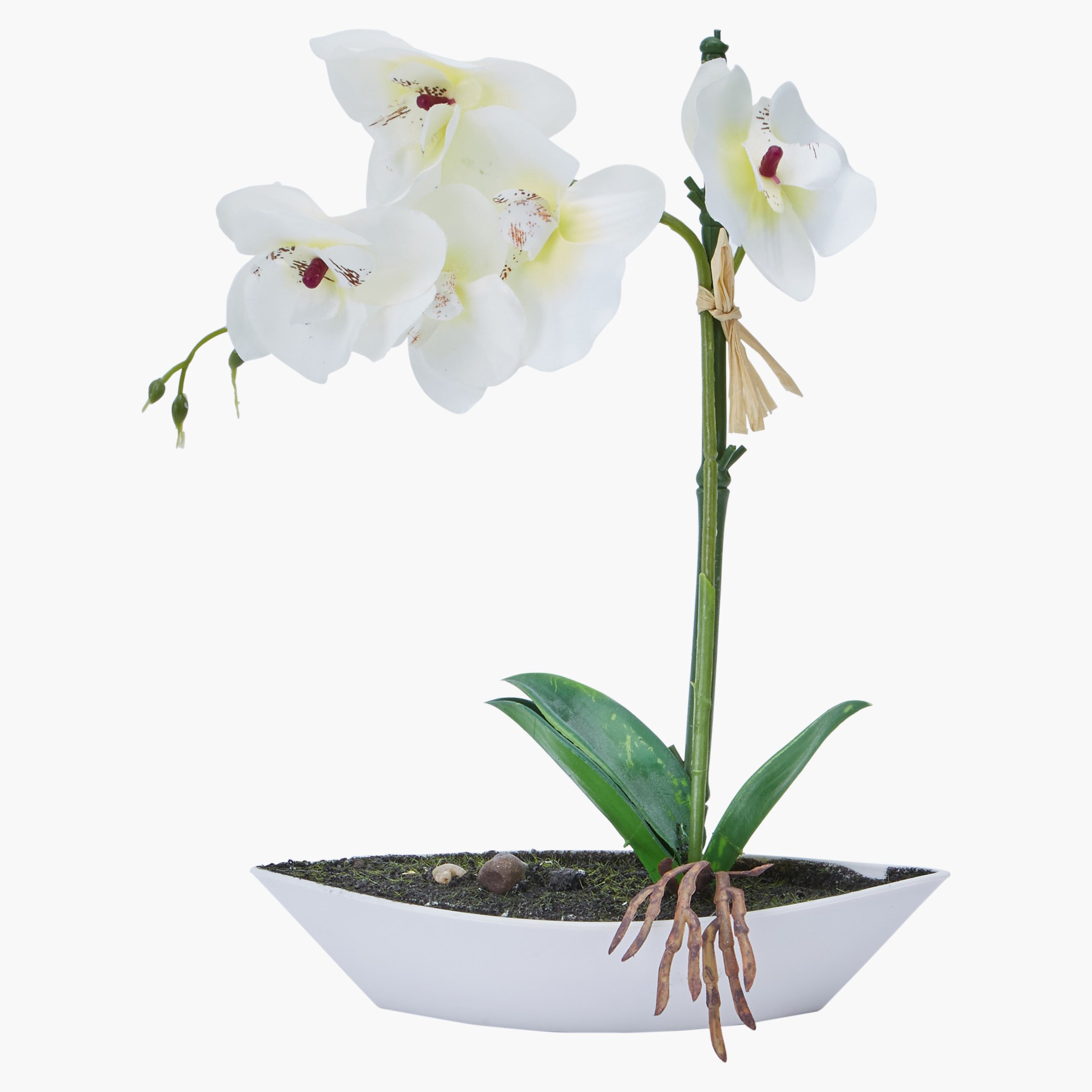 إناء زهرة أوركيد مزخرف-hbxdecorandfurnishings-homeaccessories-artificialflowersandplants-image-2