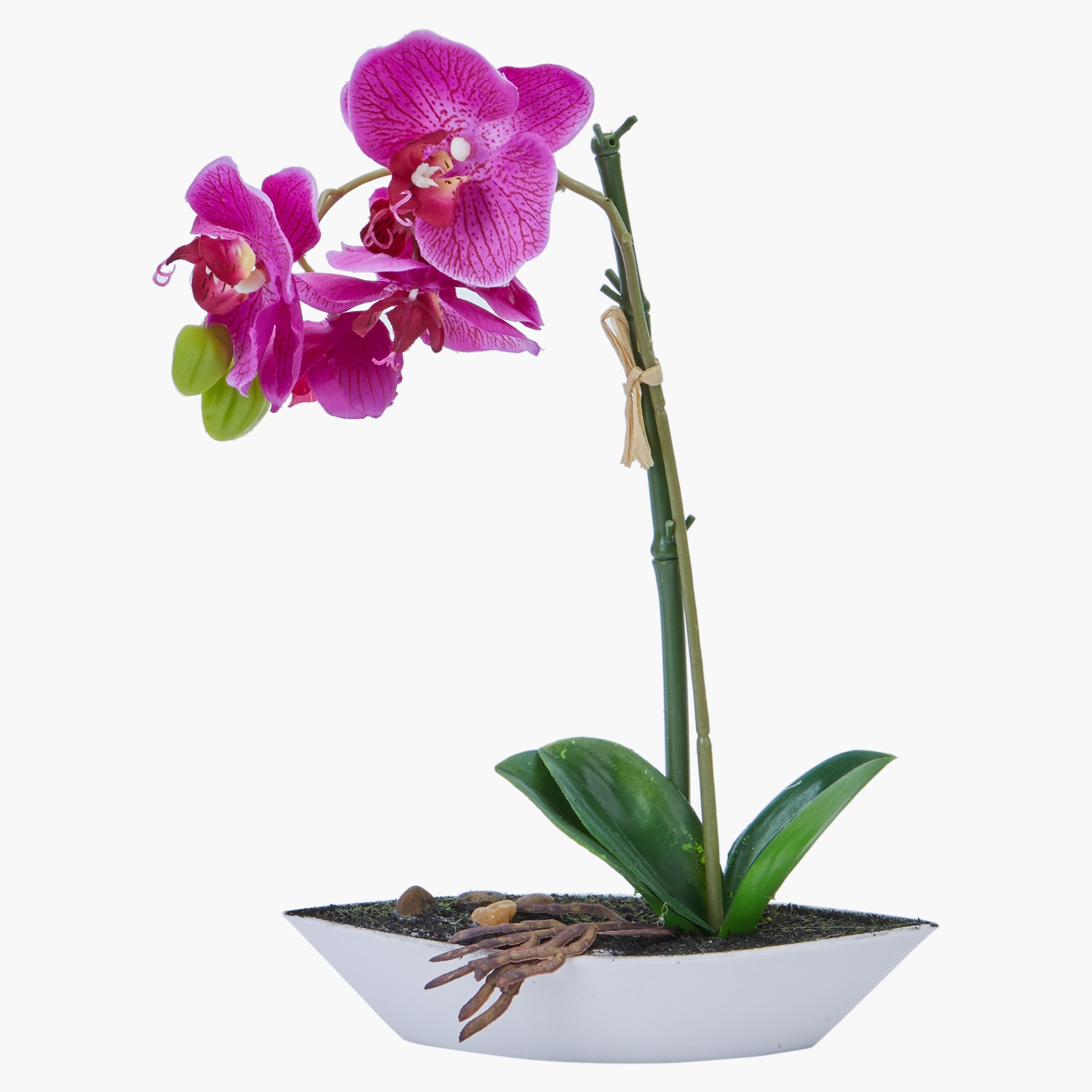 إناء زهرة أوركيد مزخرف-hbxdecorandfurnishings-homeaccessories-artificialflowersandplants-image-2