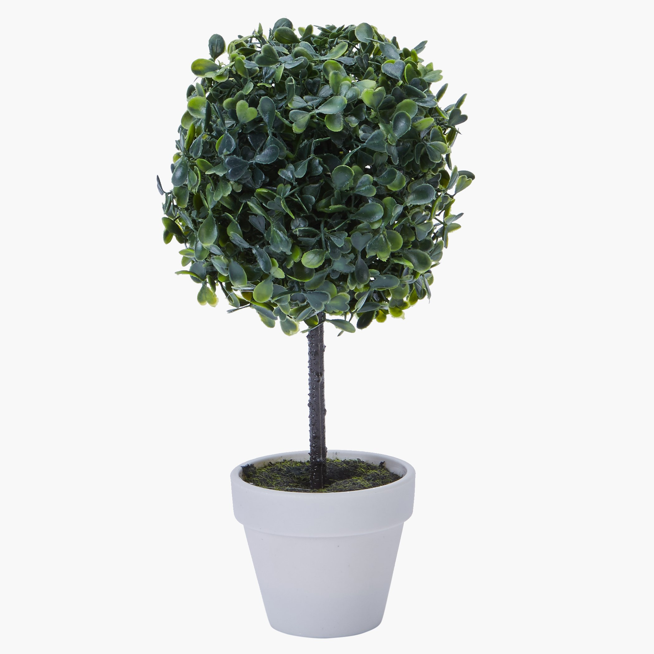 مزهرية بعشب زينة فوستر-hbxdecorandfurnishings-homeaccessories-artificialflowersandplants-image-1