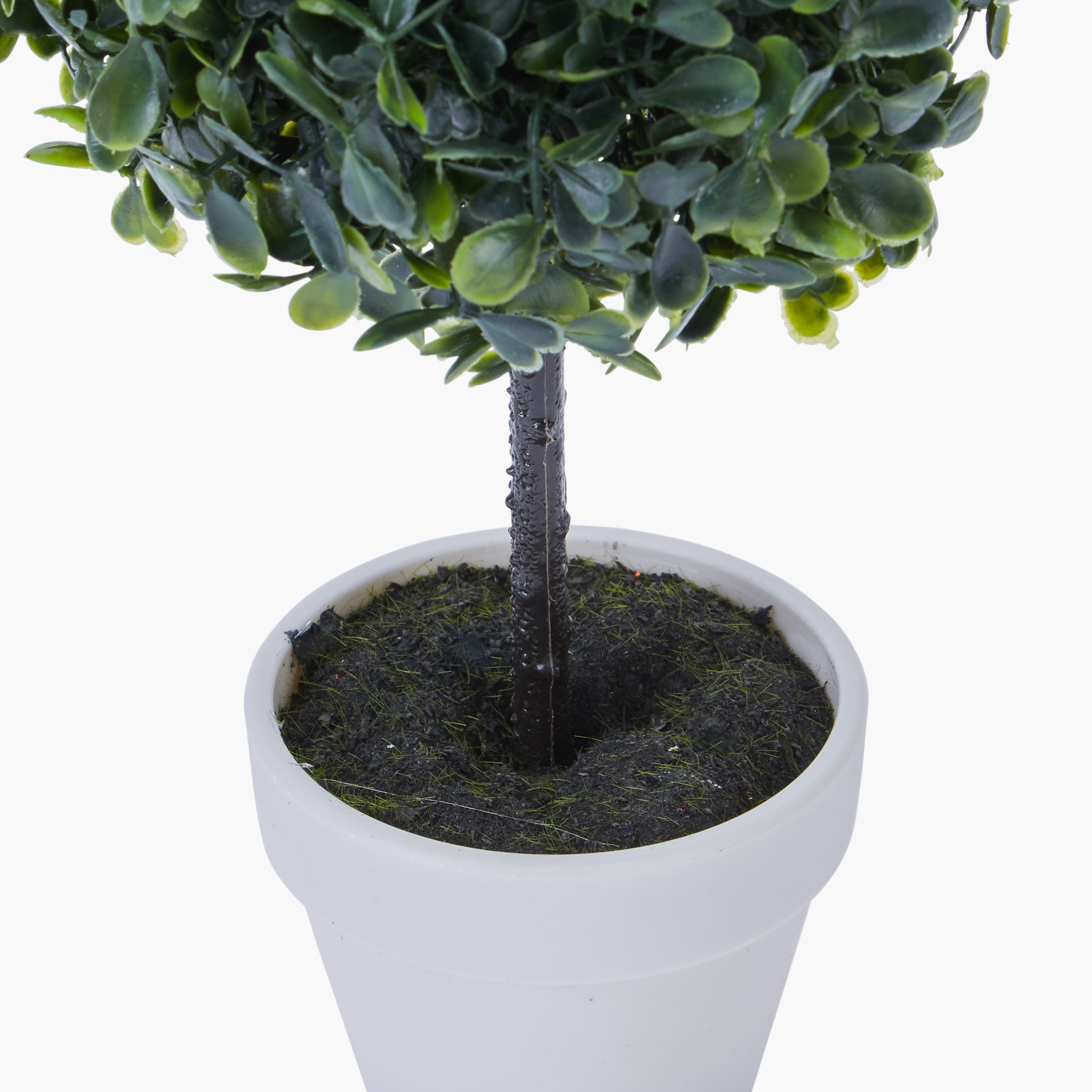 مزهرية بعشب زينة فوستر-hbxdecorandfurnishings-homeaccessories-artificialflowersandplants-image-2
