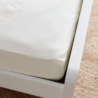 Essential Queen Cotton Fitted Sheet - 150x200+25 cms