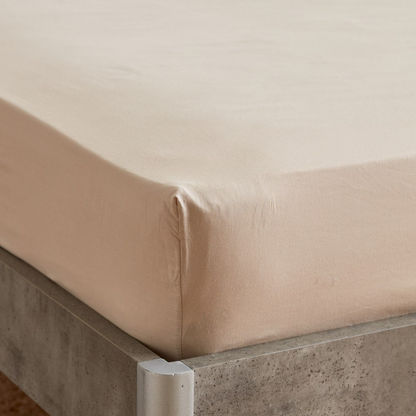 Essential Cotton Twin Fitted Sheet - 120x200+25 cm