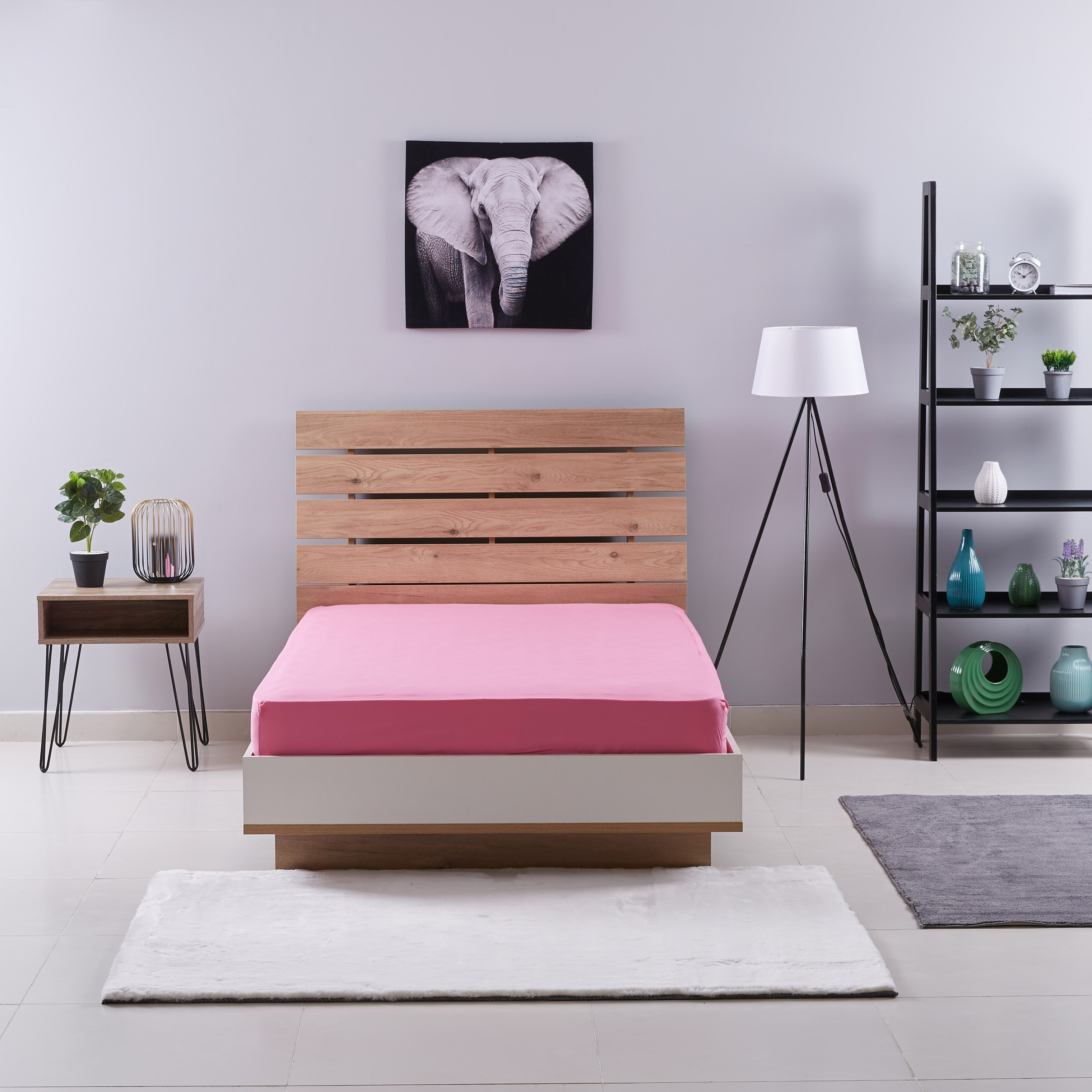 شرشف مطّاطي قطني مزدوج من إيسنشال - 120x200 سم-hbxhomeware-bedding-fittedsheets-image-4
