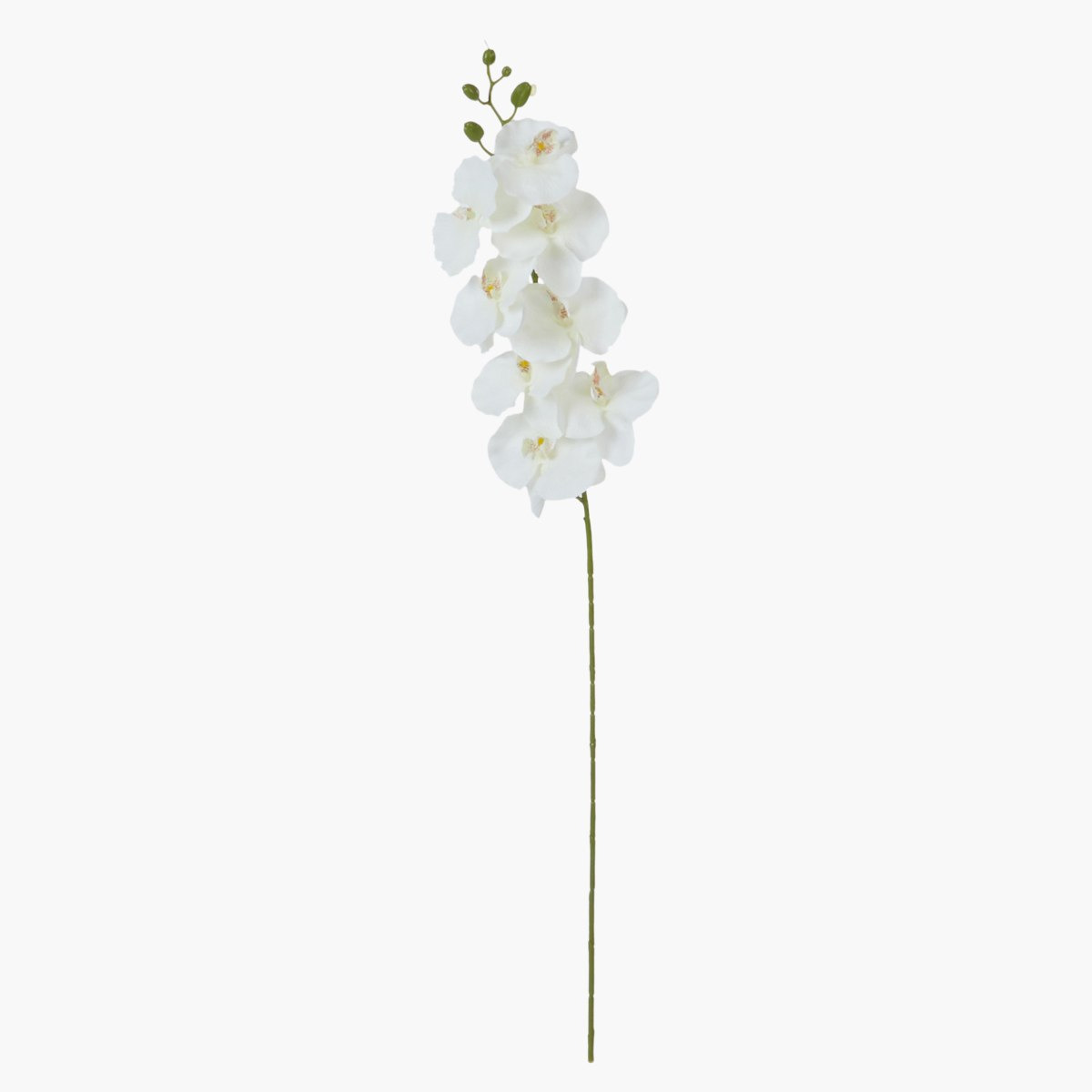 غصن أزهار أوركيد للزينة -hbxdecorandfurnishings-homeaccessories-artificialflowersandplants-image-2