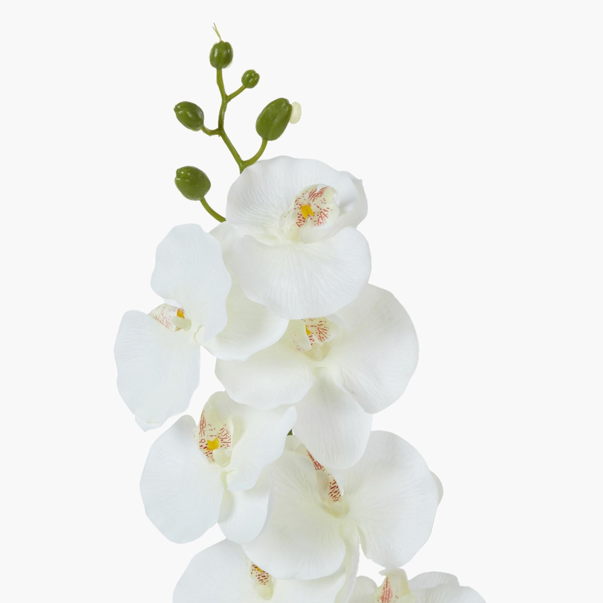 غصن أزهار أوركيد للزينة -hbxdecorandfurnishings-homeaccessories-artificialflowersandplants-image-3