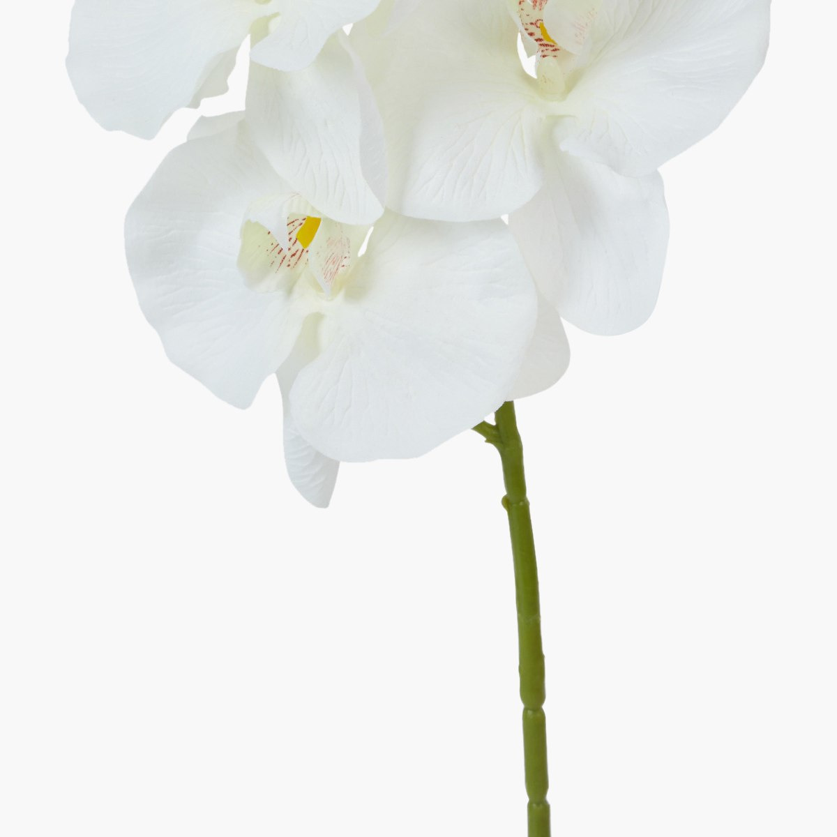 غصن أزهار أوركيد للزينة -hbxdecorandfurnishings-homeaccessories-artificialflowersandplants-image-4