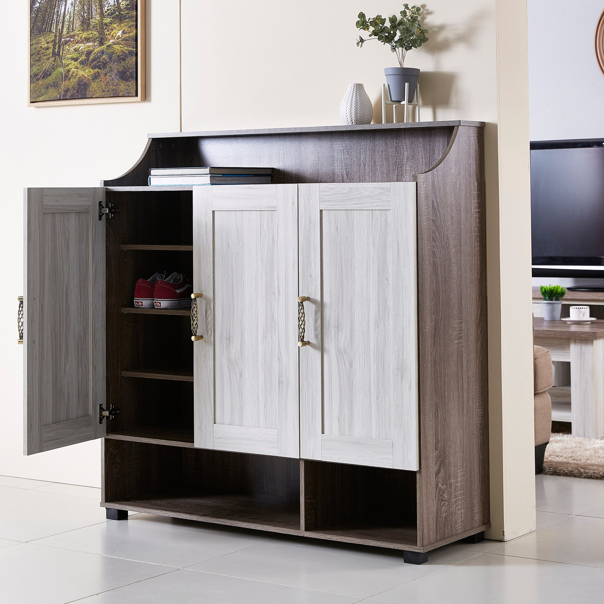 Buy Angelic 26 Pairs Shoe Cabinet with Rectangular 3 Door Online