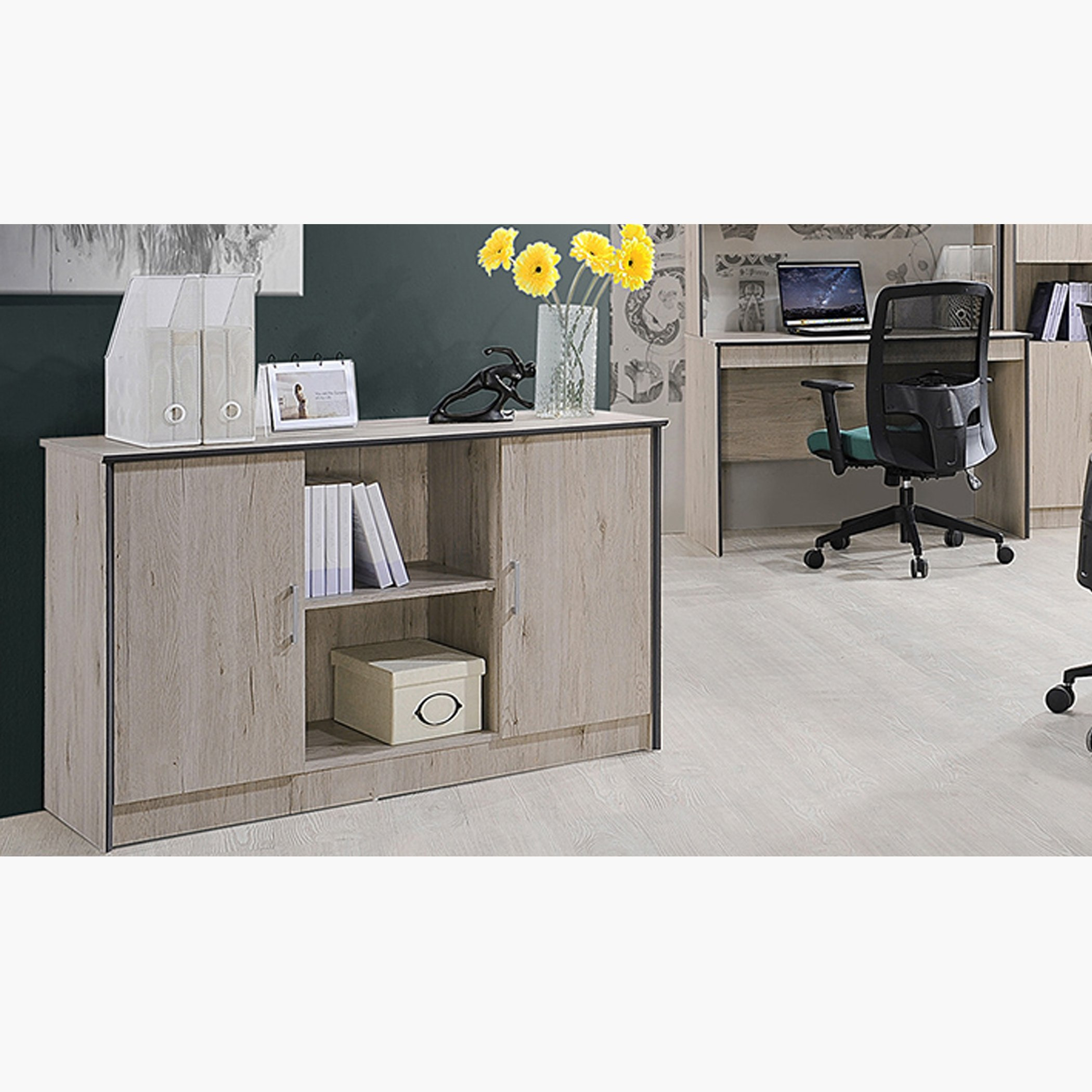 خزانة كتب منخفضة ببابين من إتزي-hbxfurniture-office-bookcases-image-1