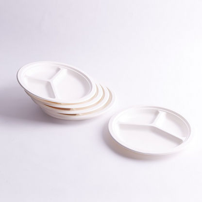 Pappco Bagasse Partition Plate - Set of 10